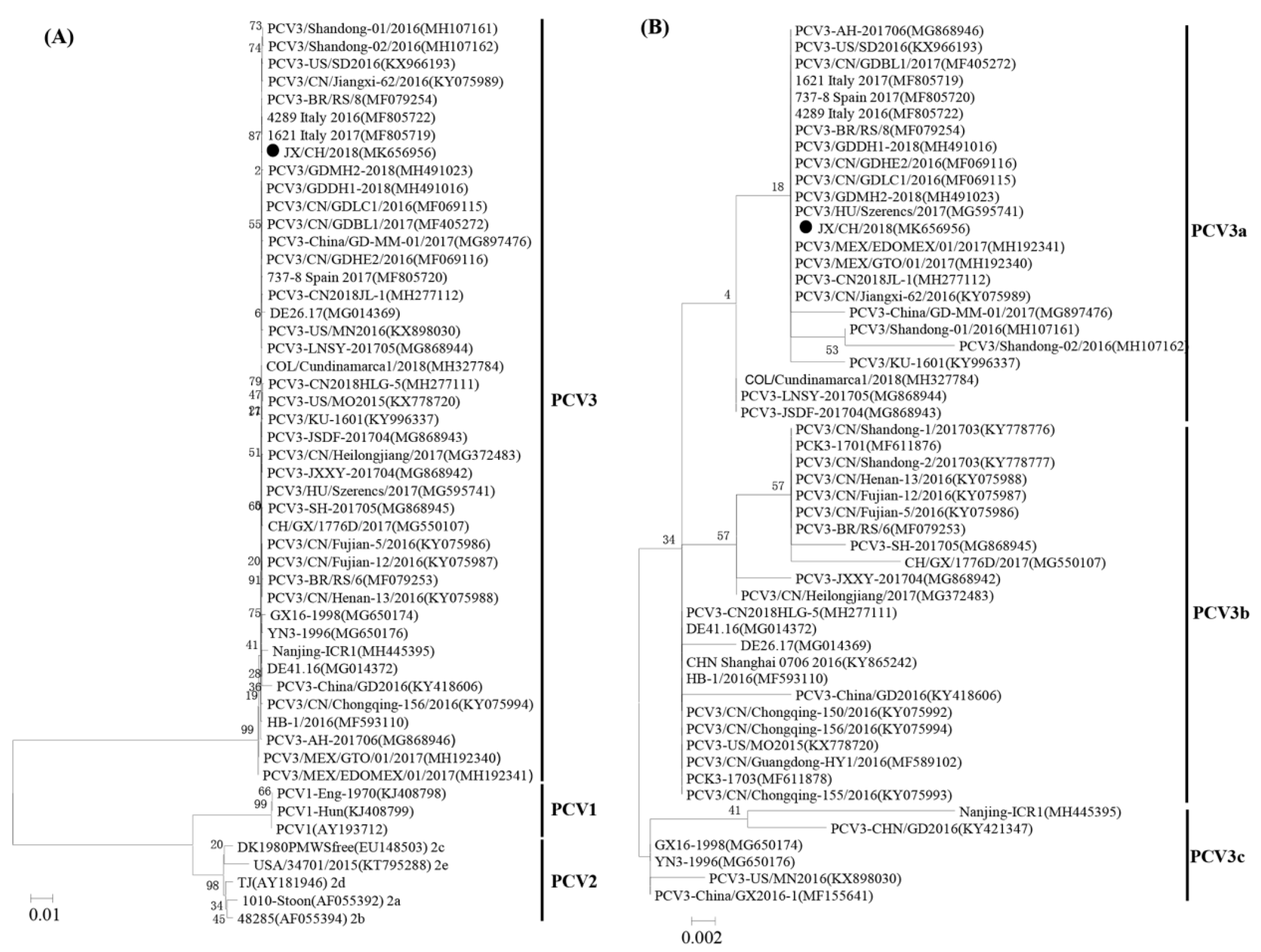 Animals 10 02324 g002