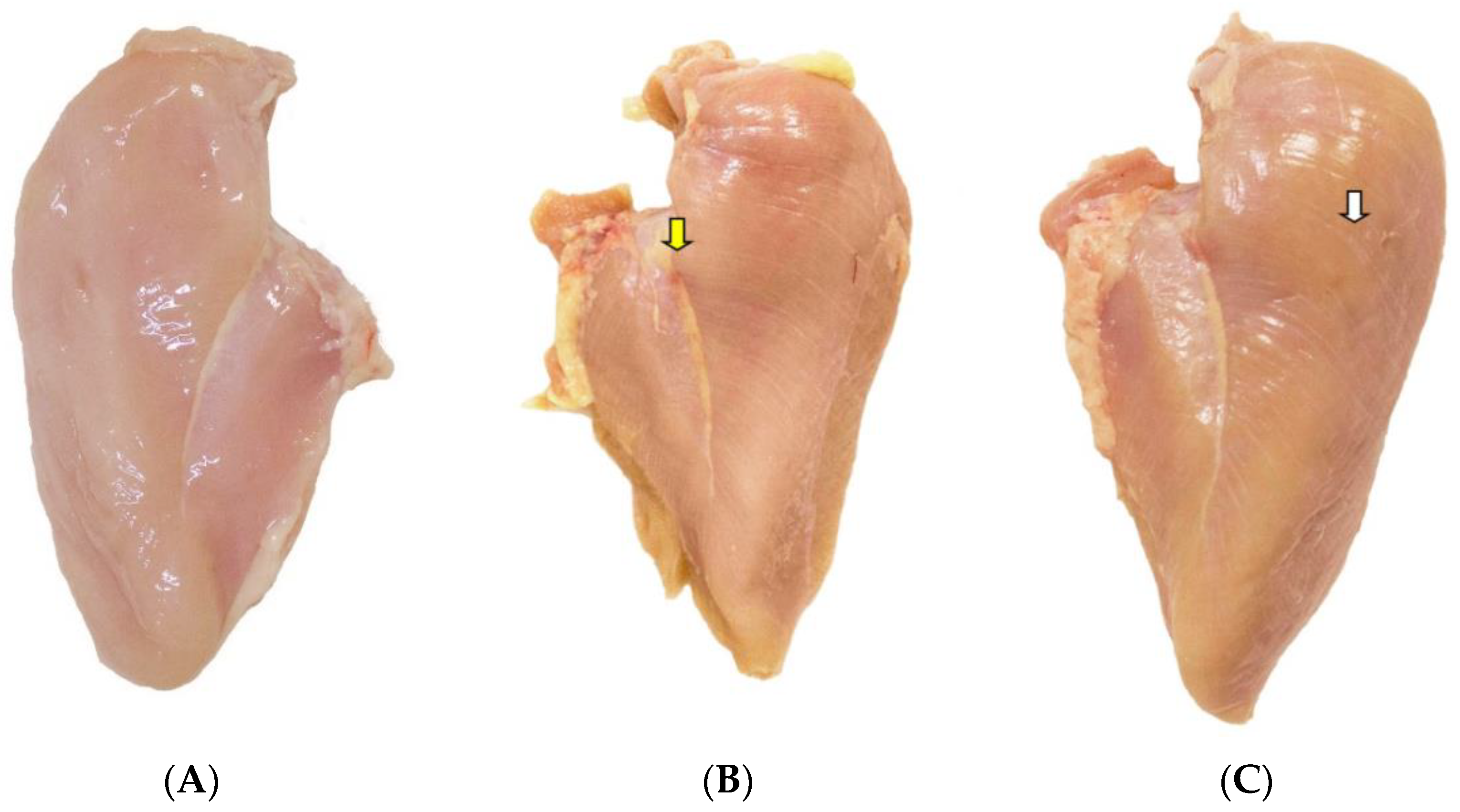 Animals Free Full Text Physicochemical Properties And Consumer Acceptance Of Hamburgers Processed With Chicken Meat Affected By Wooden Breast Myopathy Html
