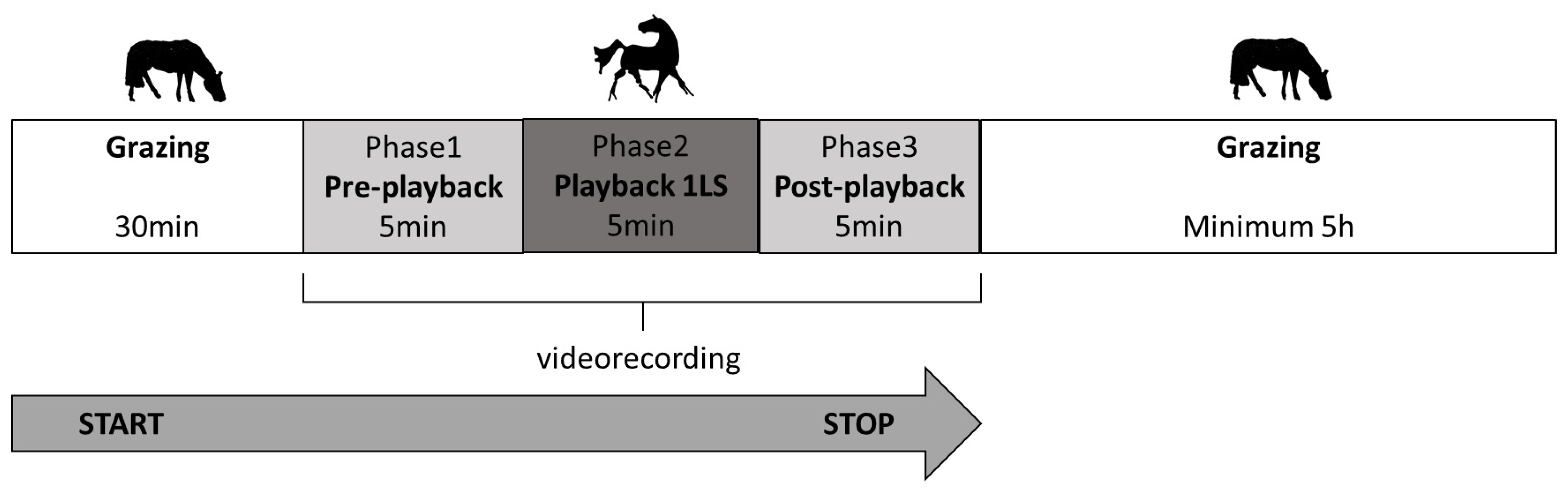 Animals 10 02331 g001