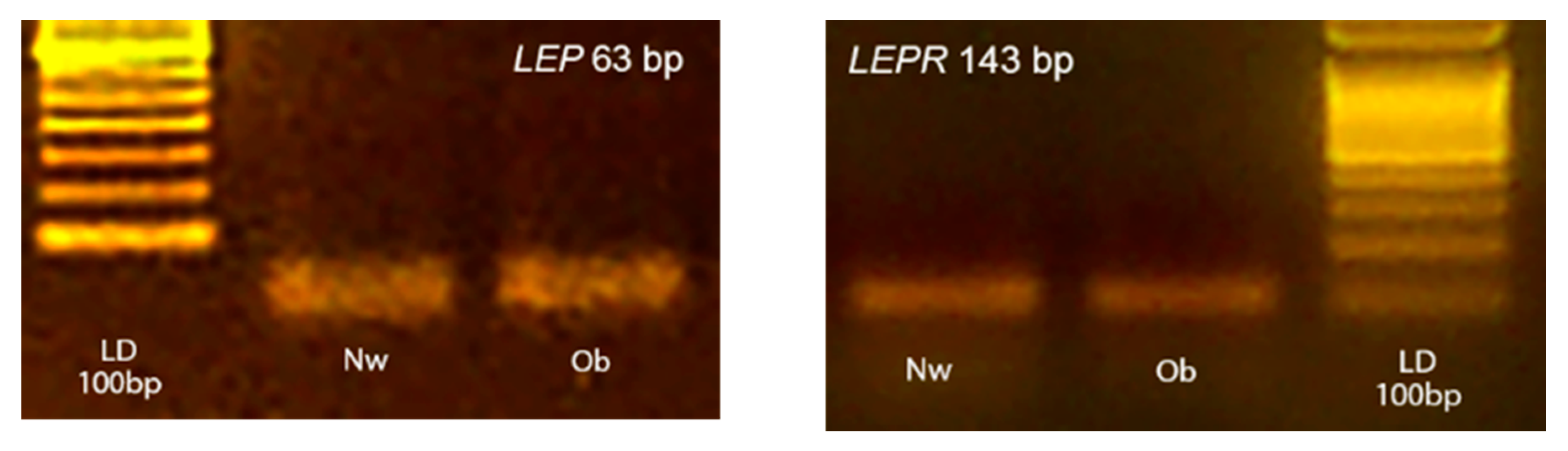 Animals 10 02338 g001 Animals 10 02338 g001