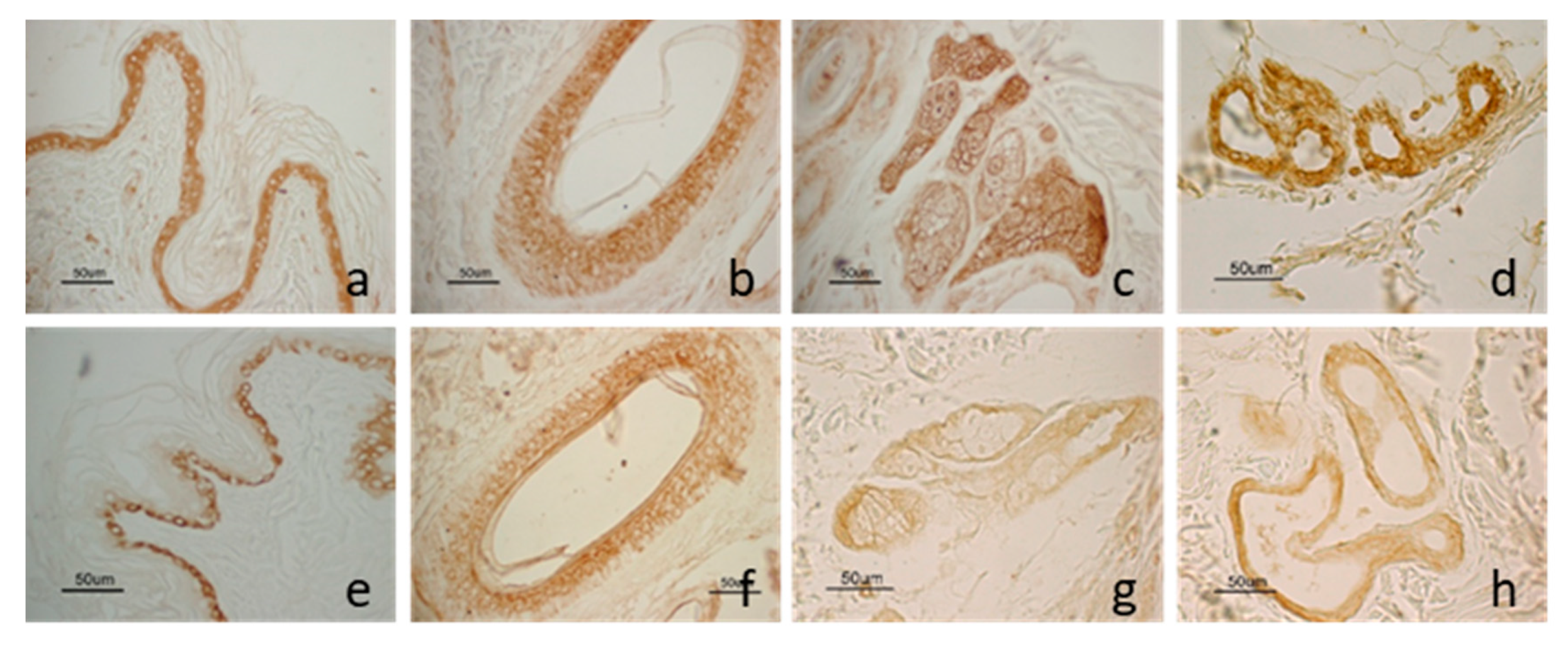 Animals 10 02338 g002 Animals 10 02338 g002