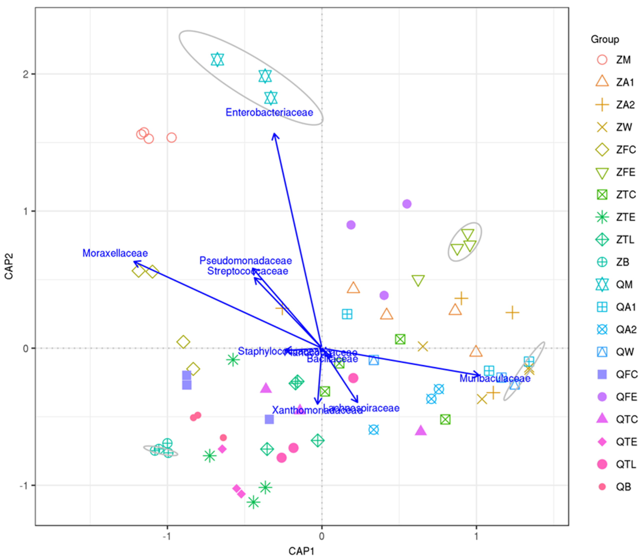 Animals 10 02339 g004