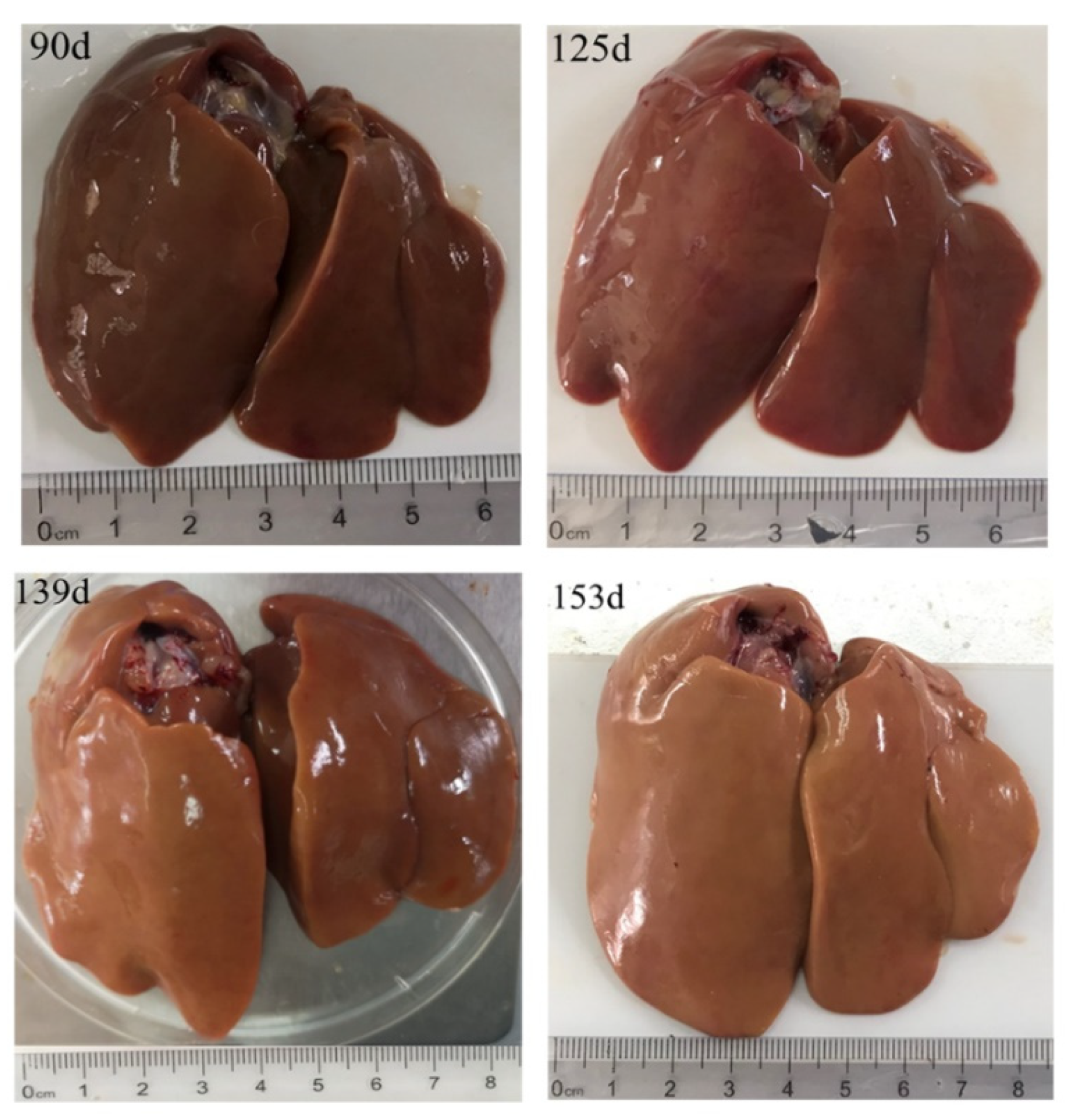 Animals 10 02348 g001