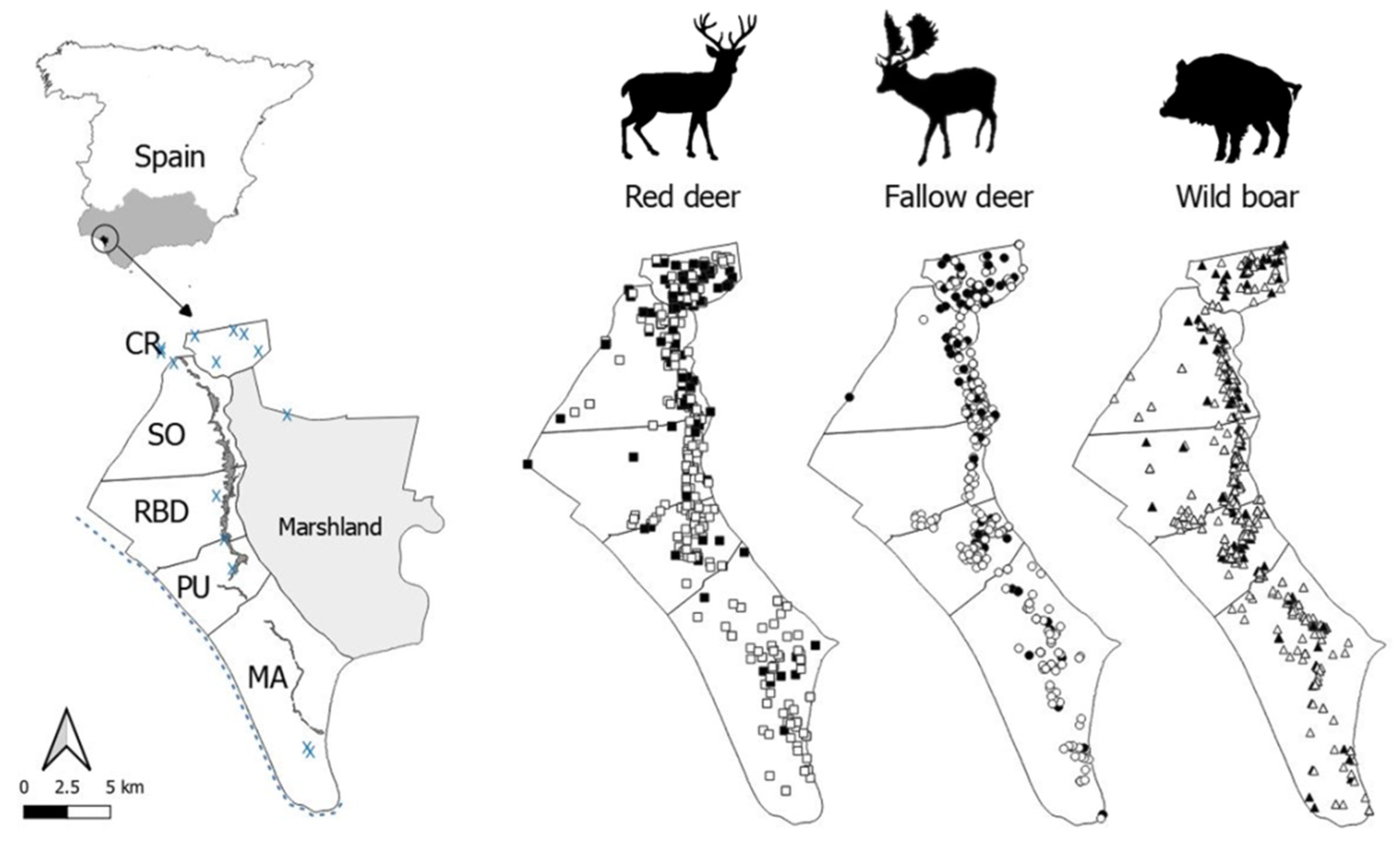 Animals 10 02349 g001