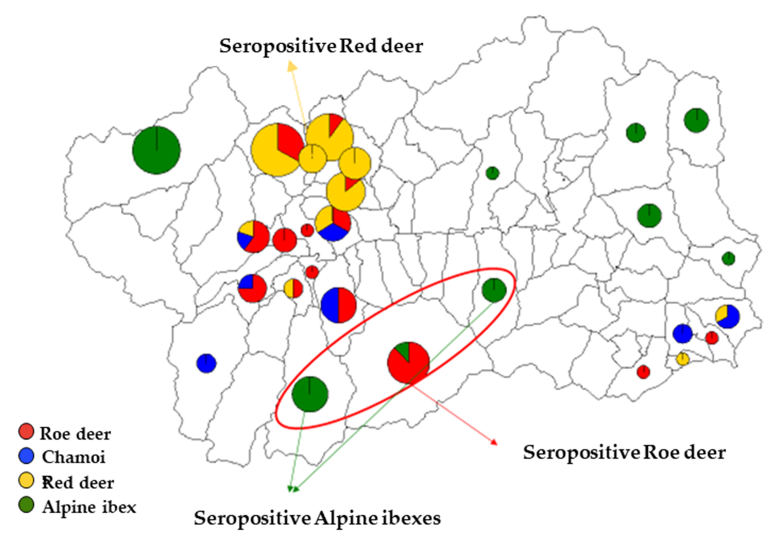 Animals 10 02351 g004 Animals 10 02351 g004