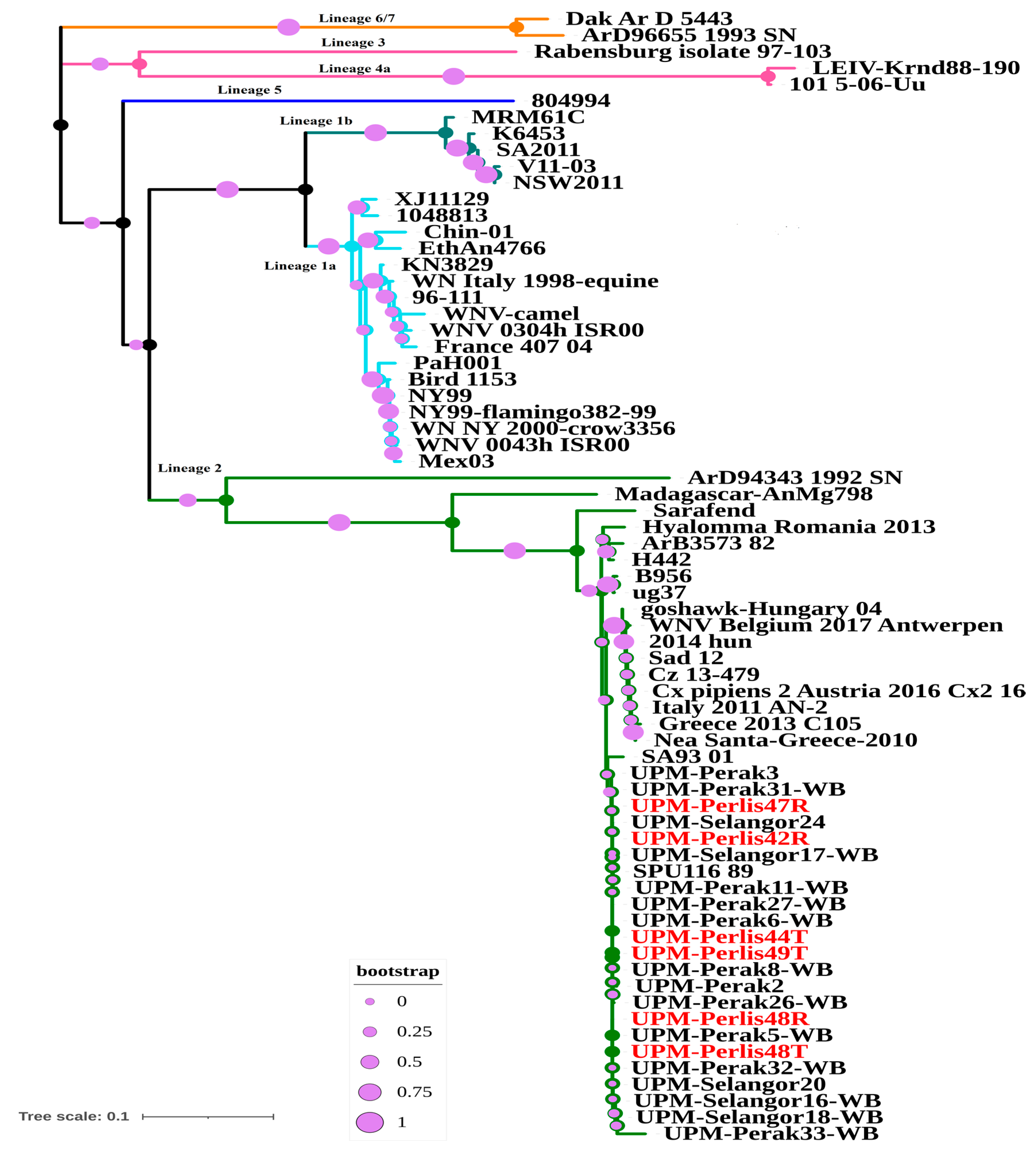 Animals 10 02367 g002 Animals 10 02367 g002