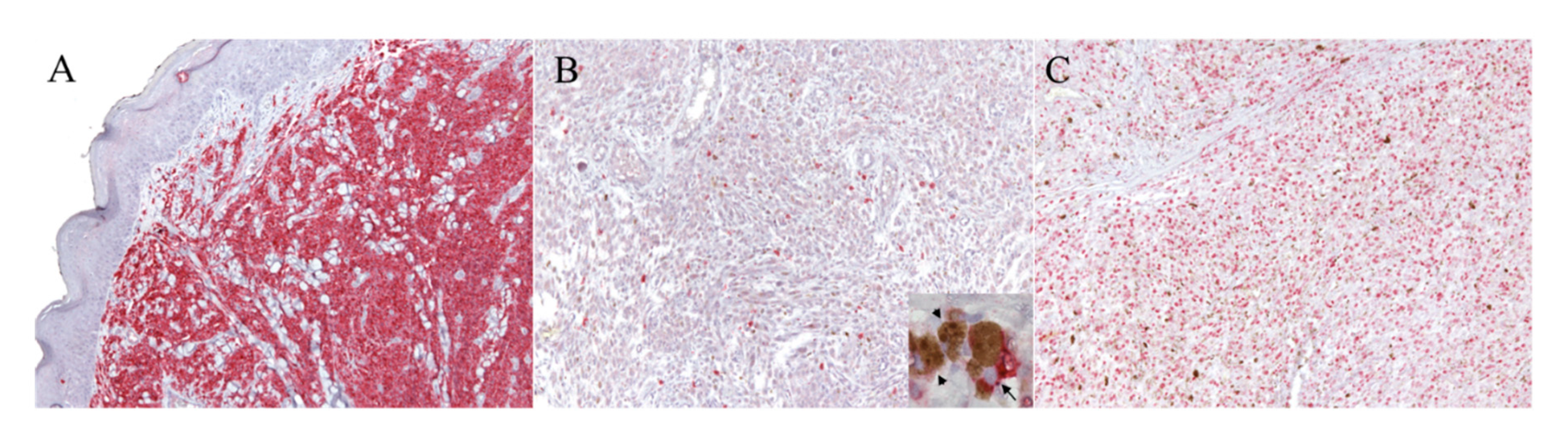 Animals 10 02370 g001 Animals 10 02370 g001