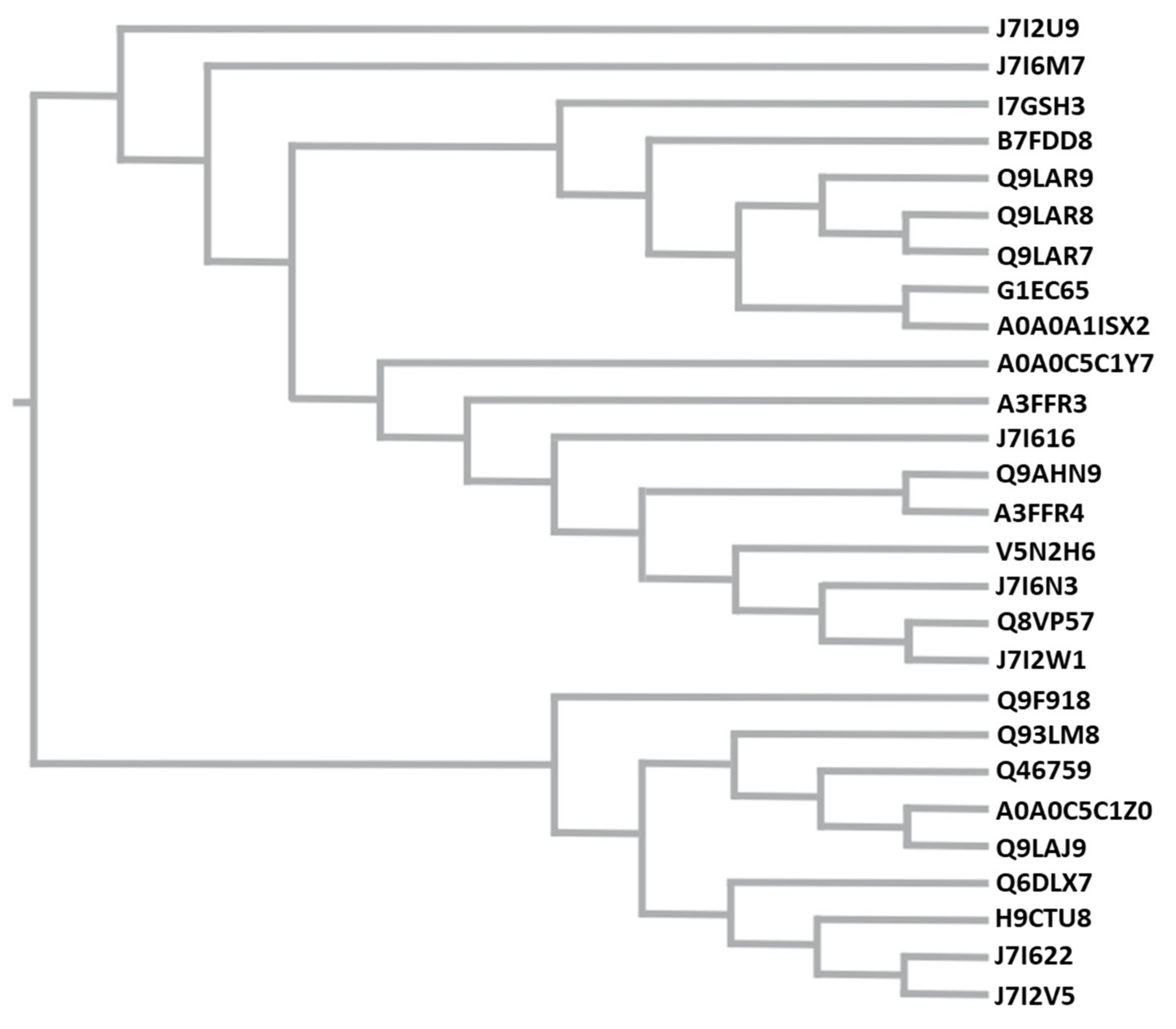 Animals 10 02378 g004