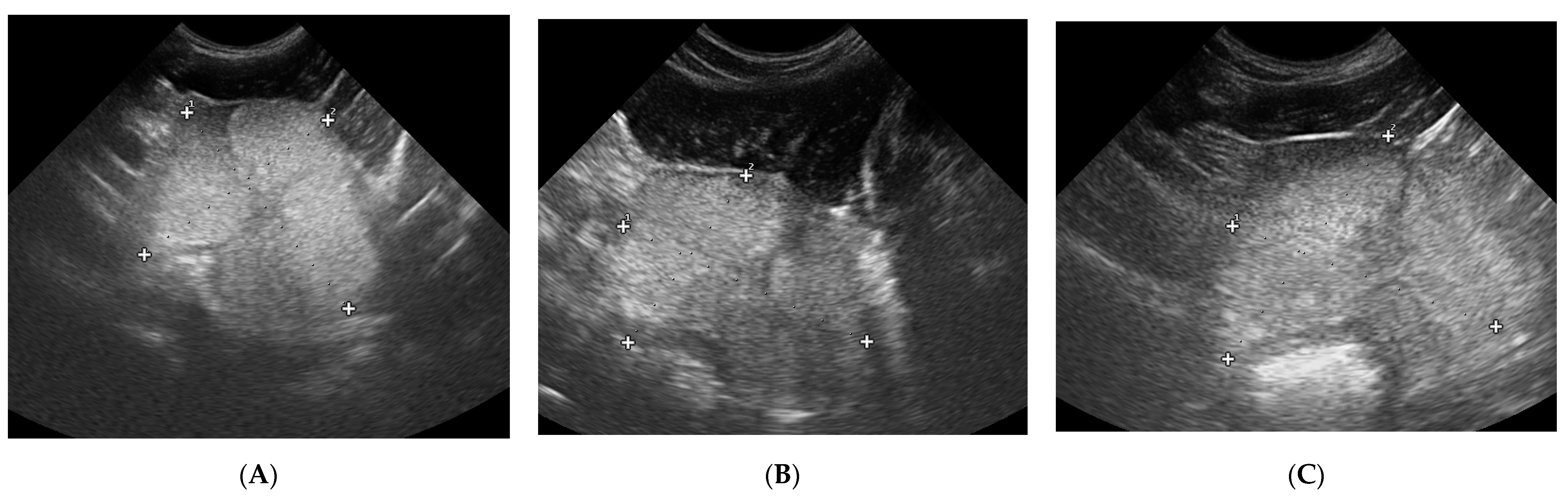 Animals 10 02379 g003