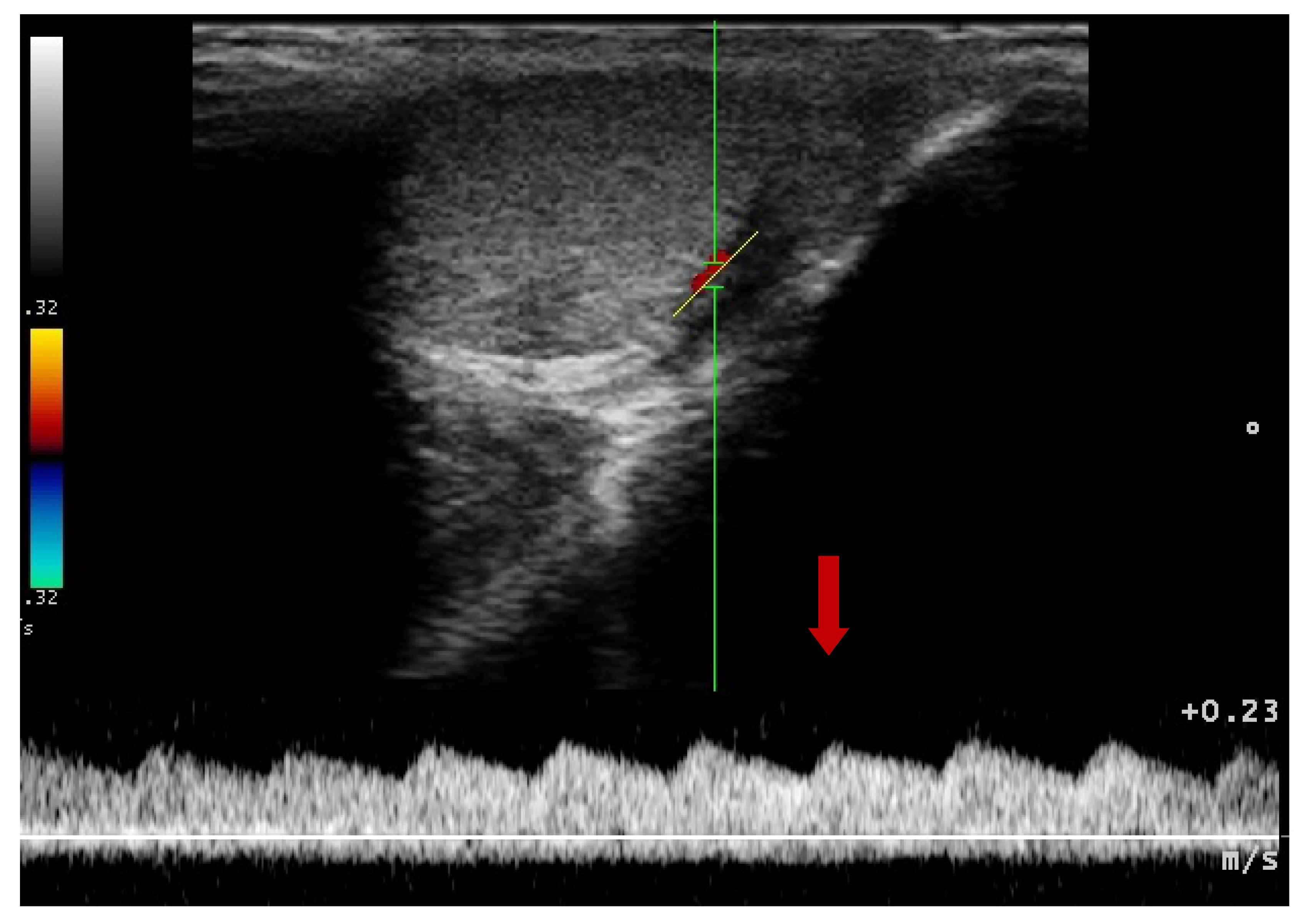 Animals 10 02379 g007