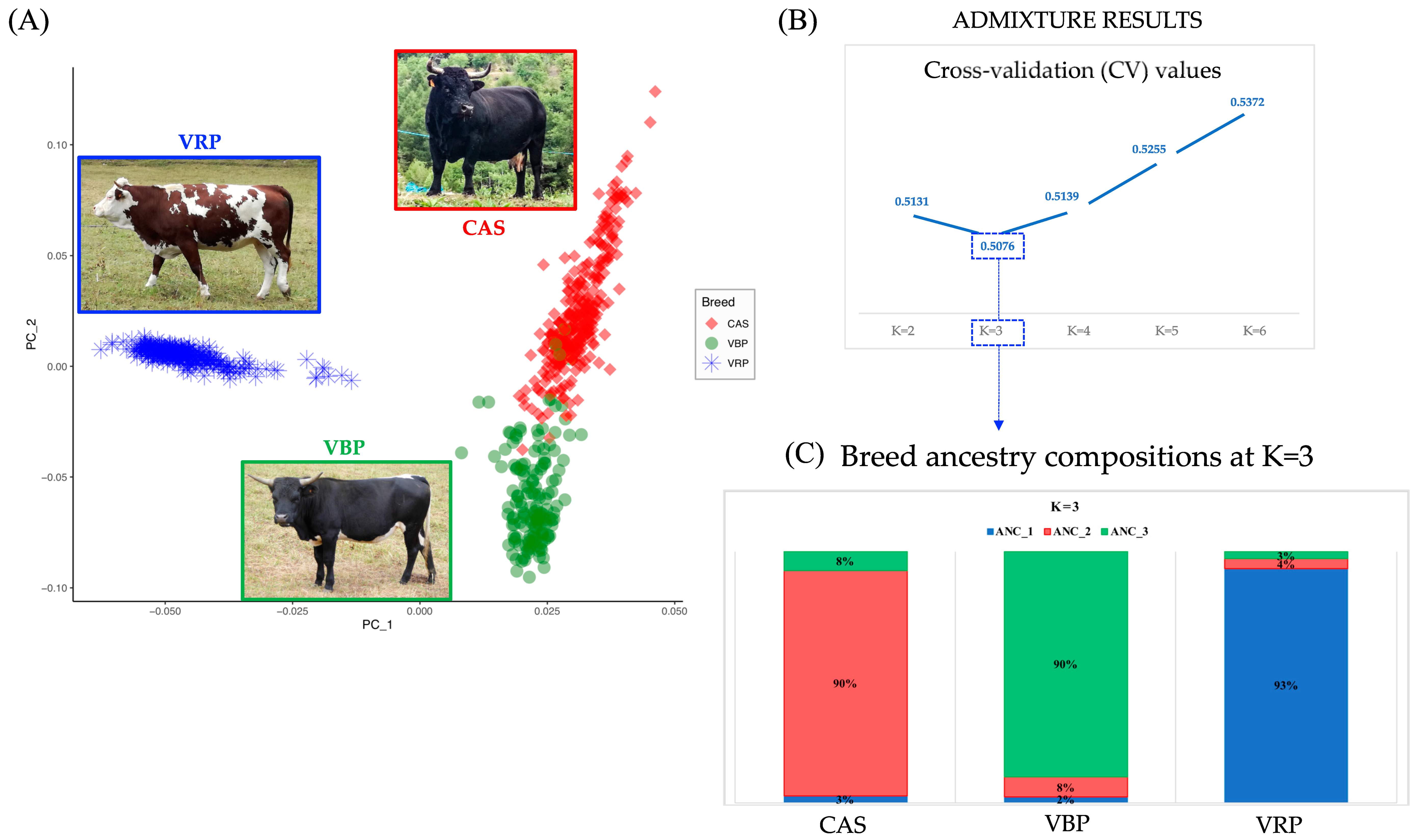 Animals 10 02385 g001 Animals 10 02385 g001