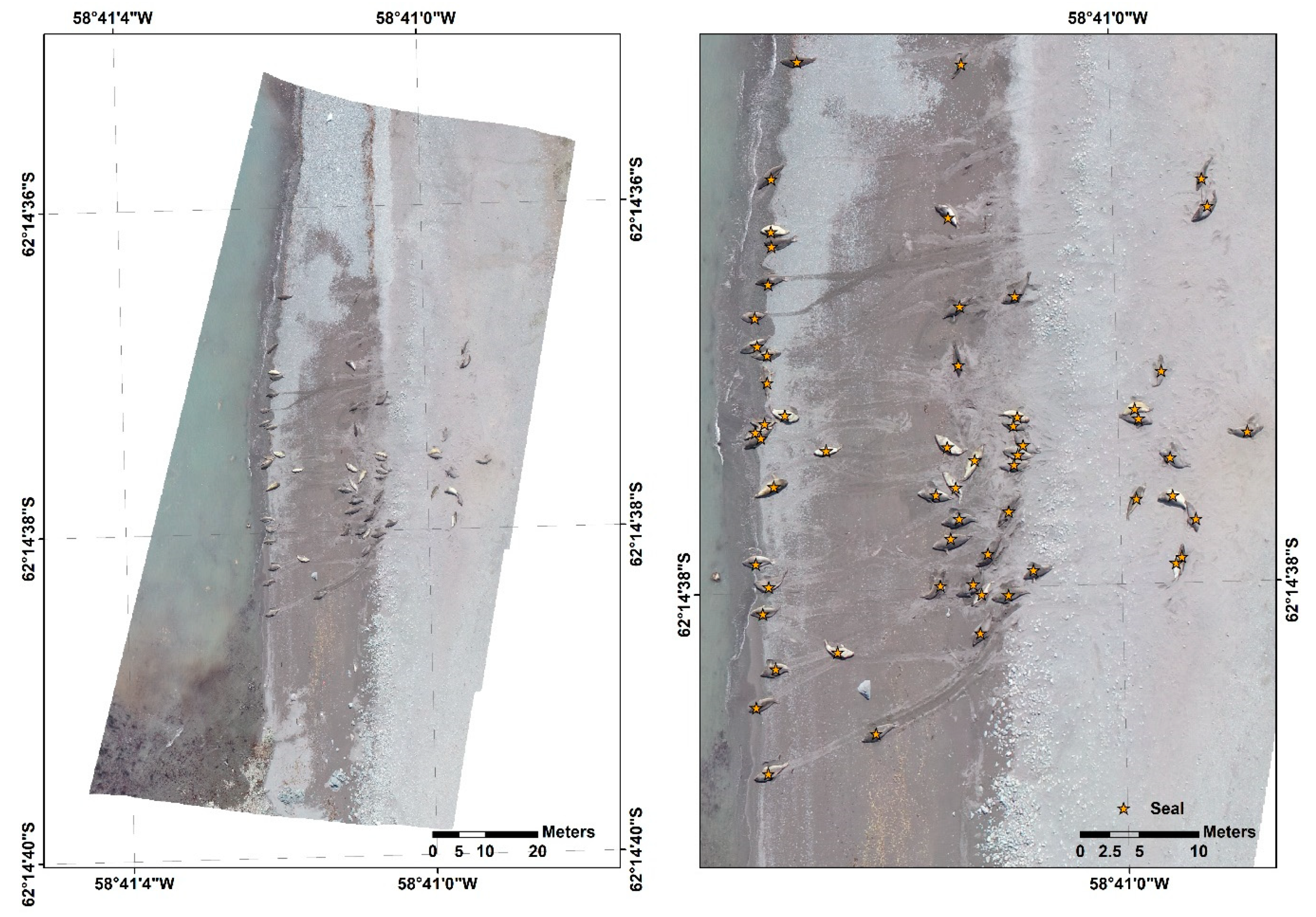 Animals 10 02387 g003 Animals 10 02387 g003