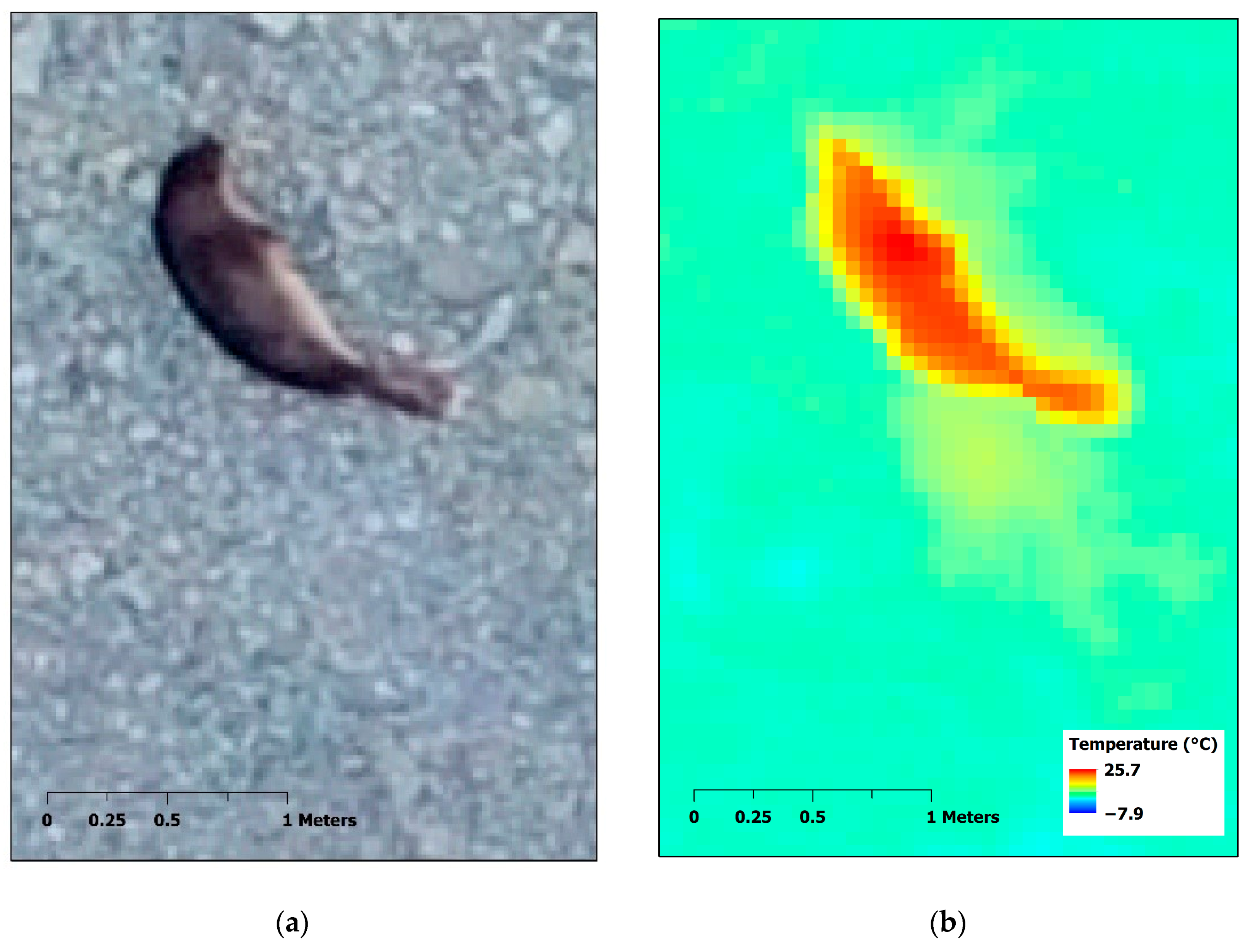 Animals 10 02387 g005a Animals 10 02387 g005a