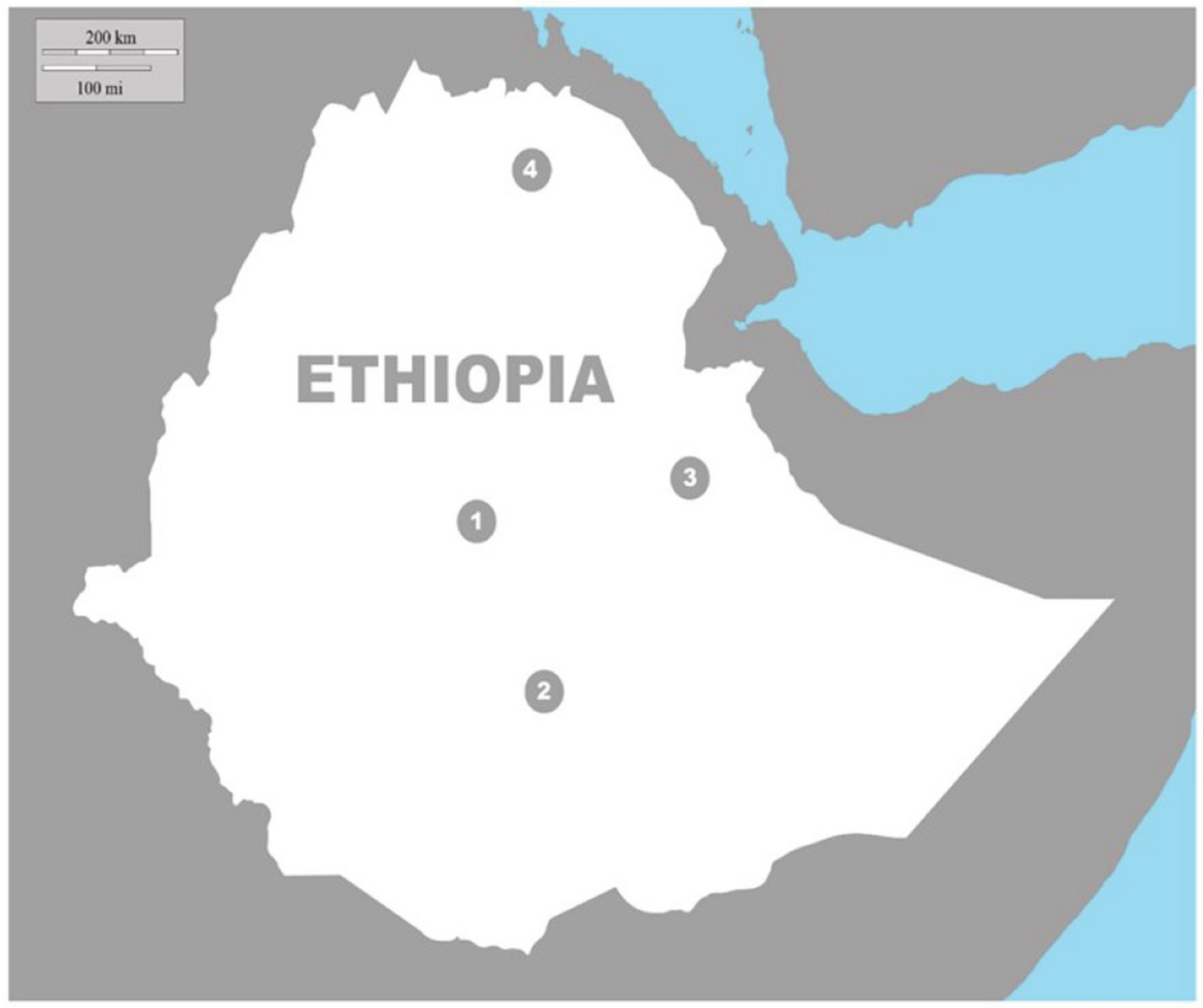 Animals Free Full Text Linking Human Perceptions And Spotted Hyena Behavior In Urban Areas Of Ethiopia Html