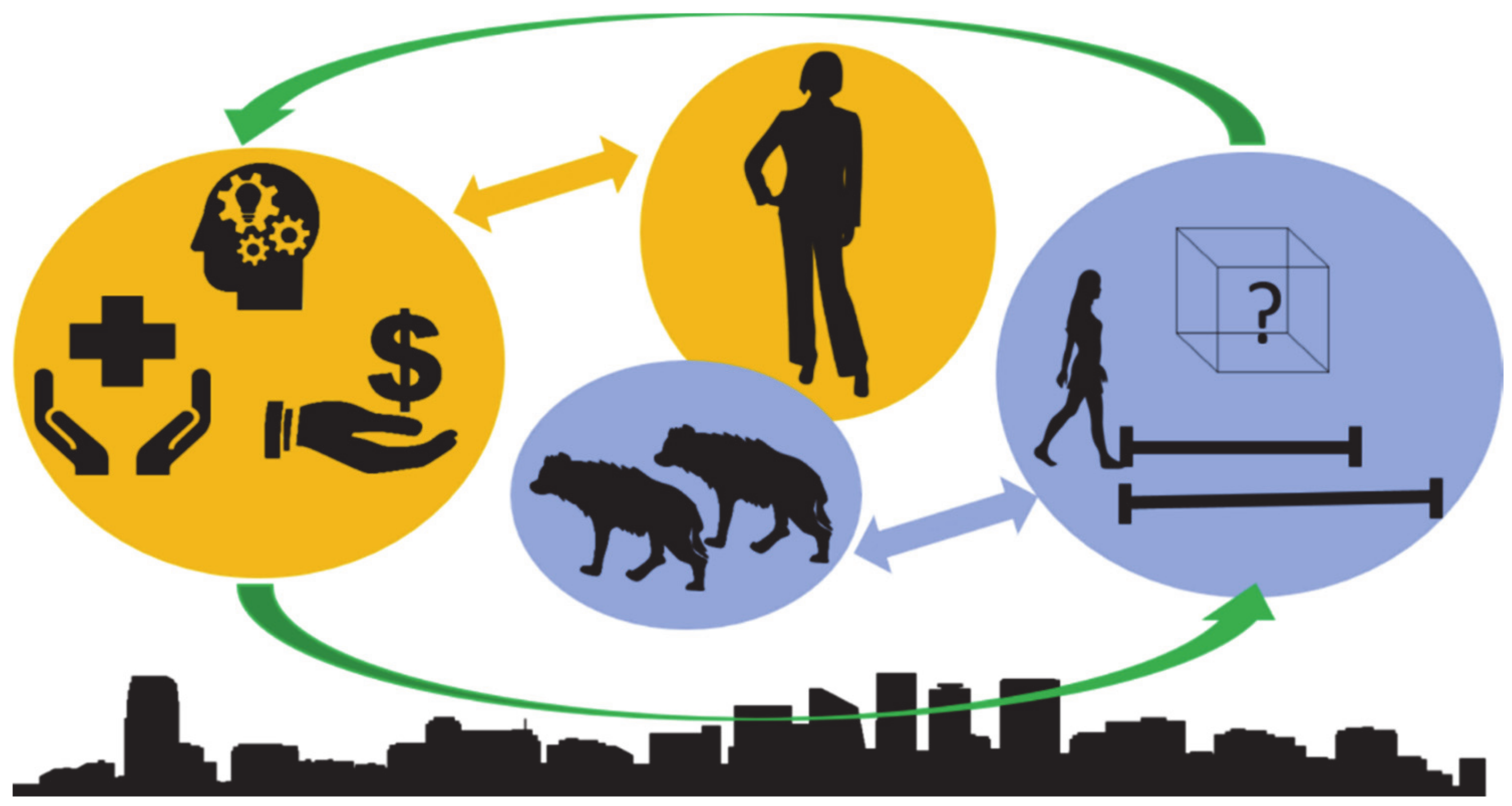 Animals 10 02400 g004