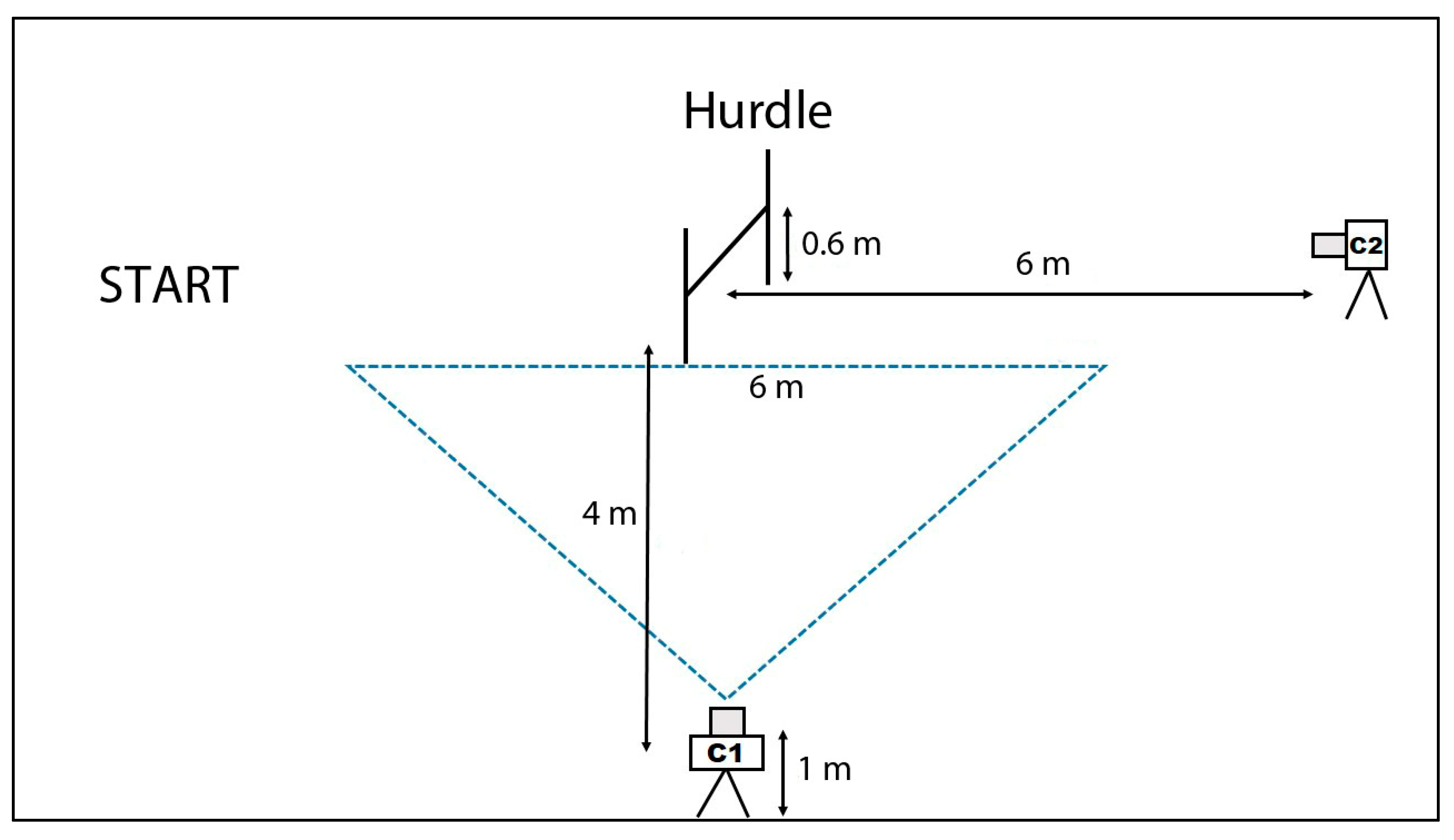 Animals 10 02405 g001