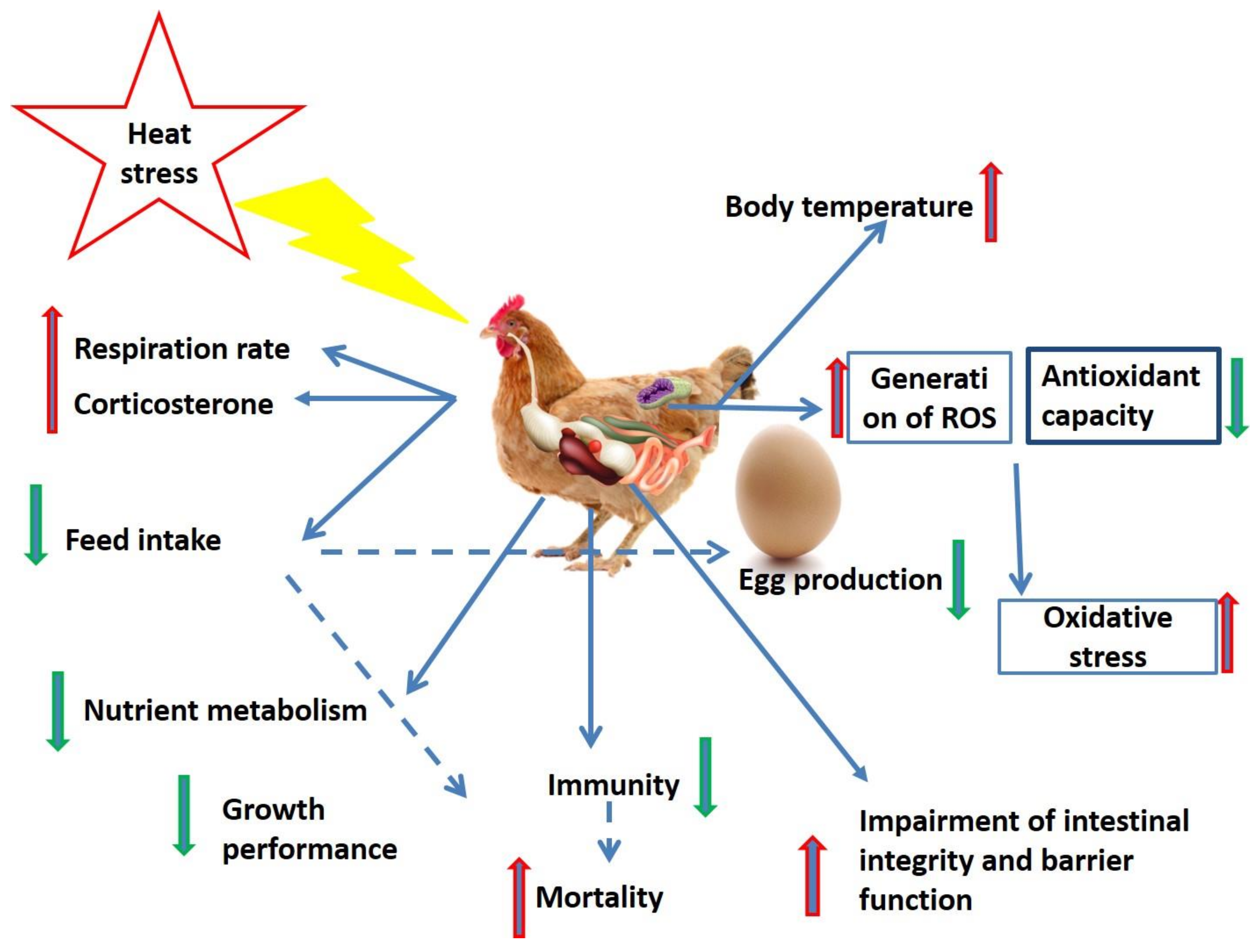 Animals 10 02407 g001 Animals 10 02407 g001
