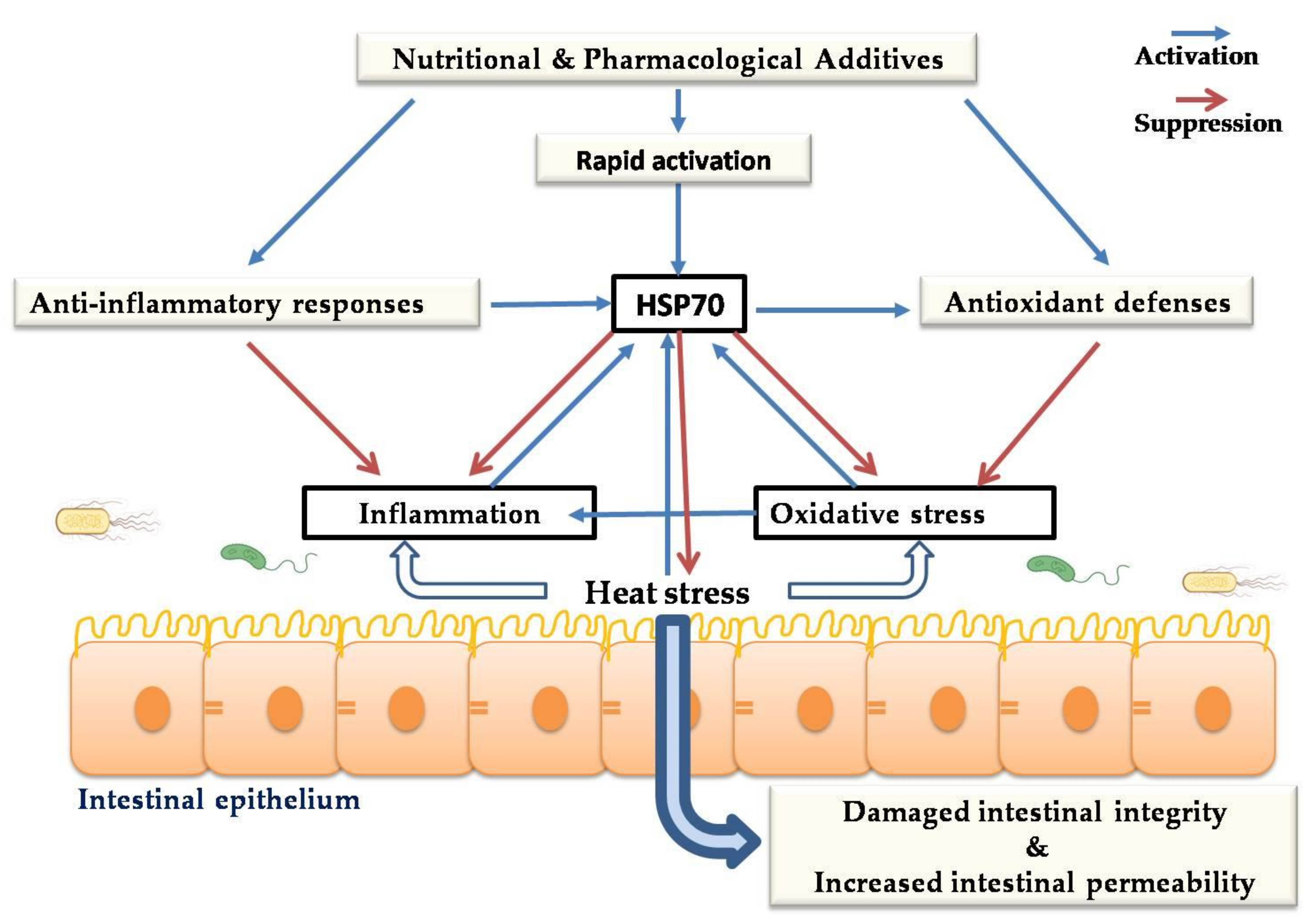 Animals 10 02407 g003 Animals 10 02407 g003