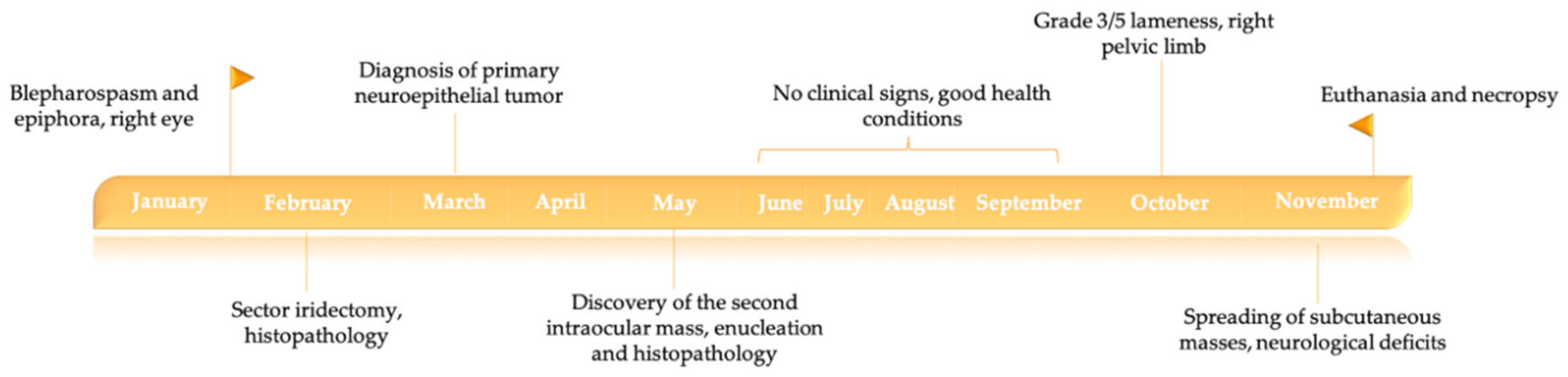 Animals 10 02409 g002 Animals 10 02409 g002