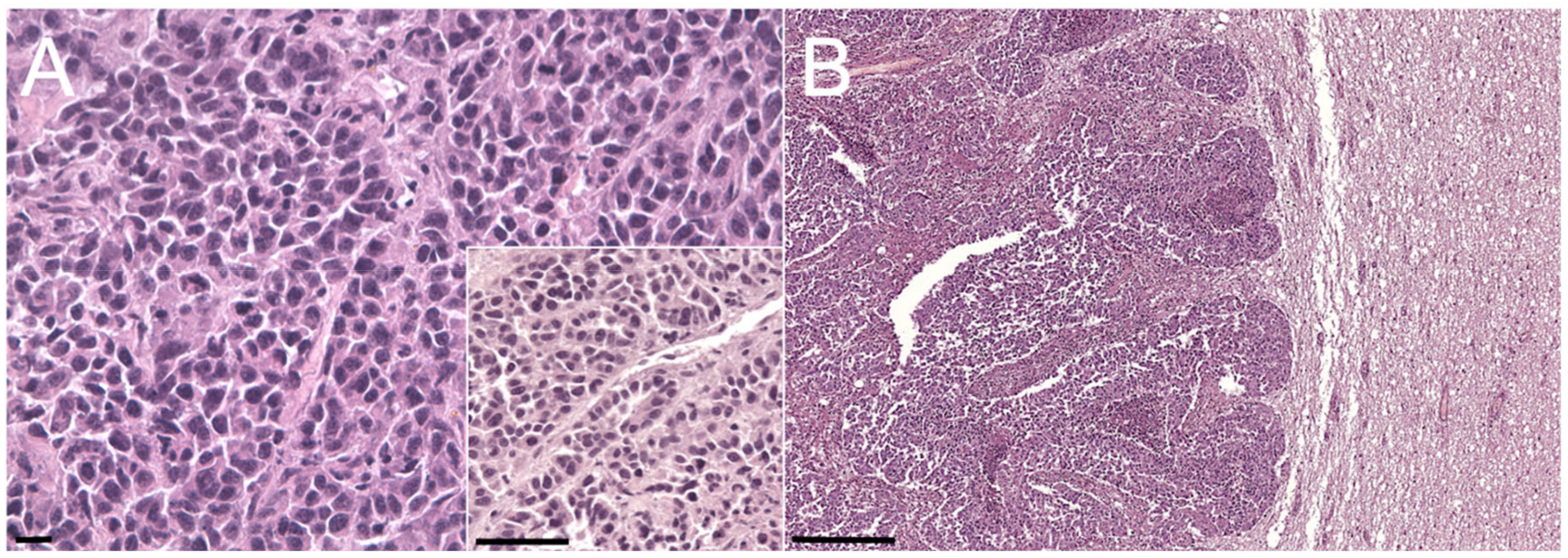 Animals 10 02409 g004 Animals 10 02409 g004