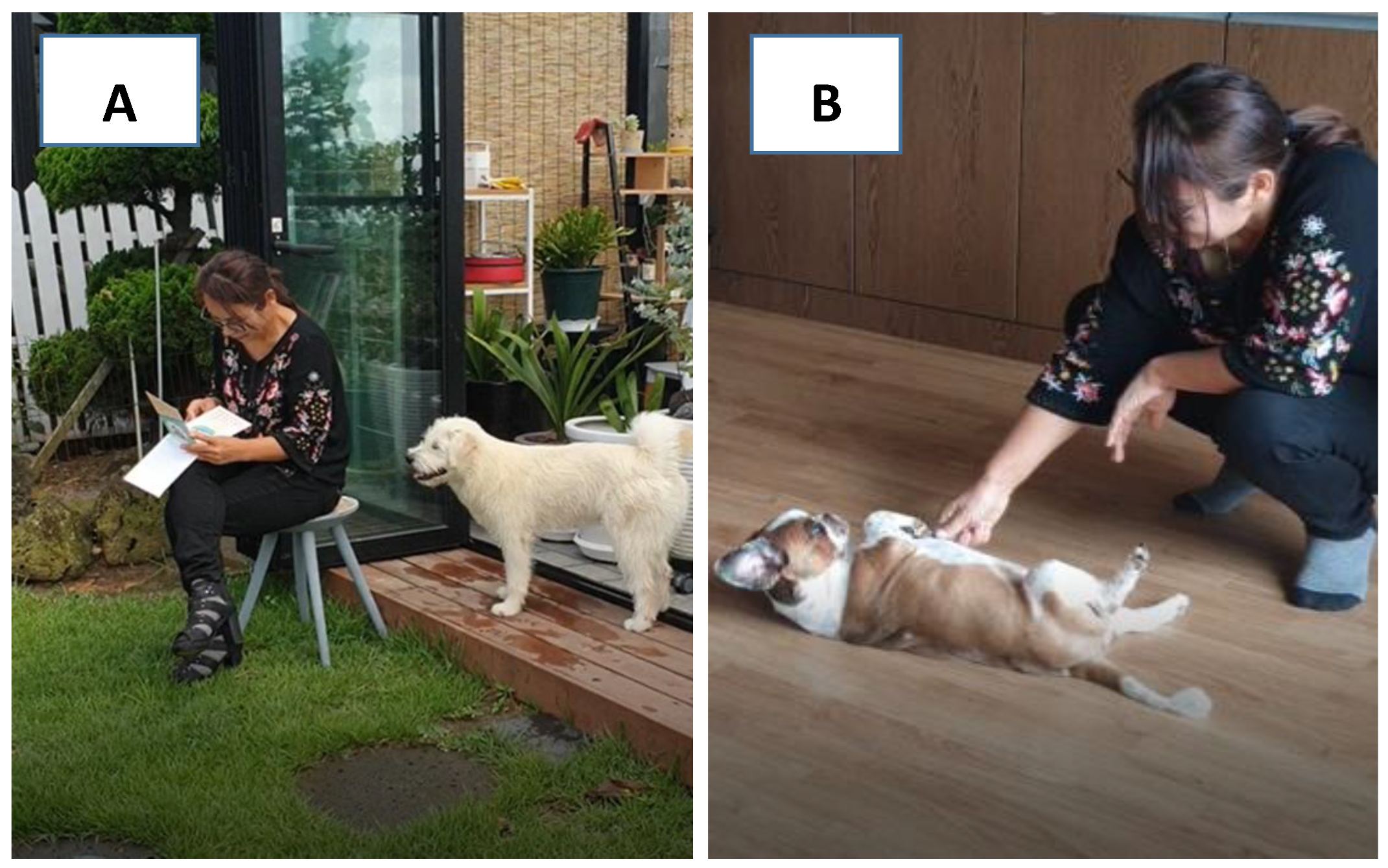 Animals 10 02413 g001 Animals 10 02413 g001