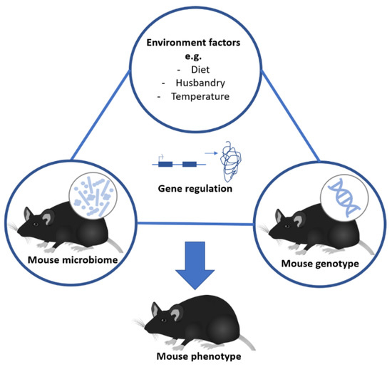 Animals Free FullText Reducing versus Embracing Variation as Strategies for Reproducibility