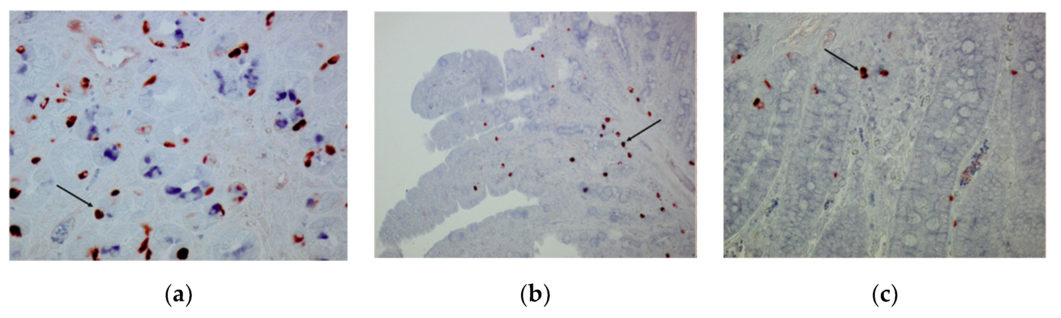 Animals 10 02417 g005 Animals 10 02417 g005