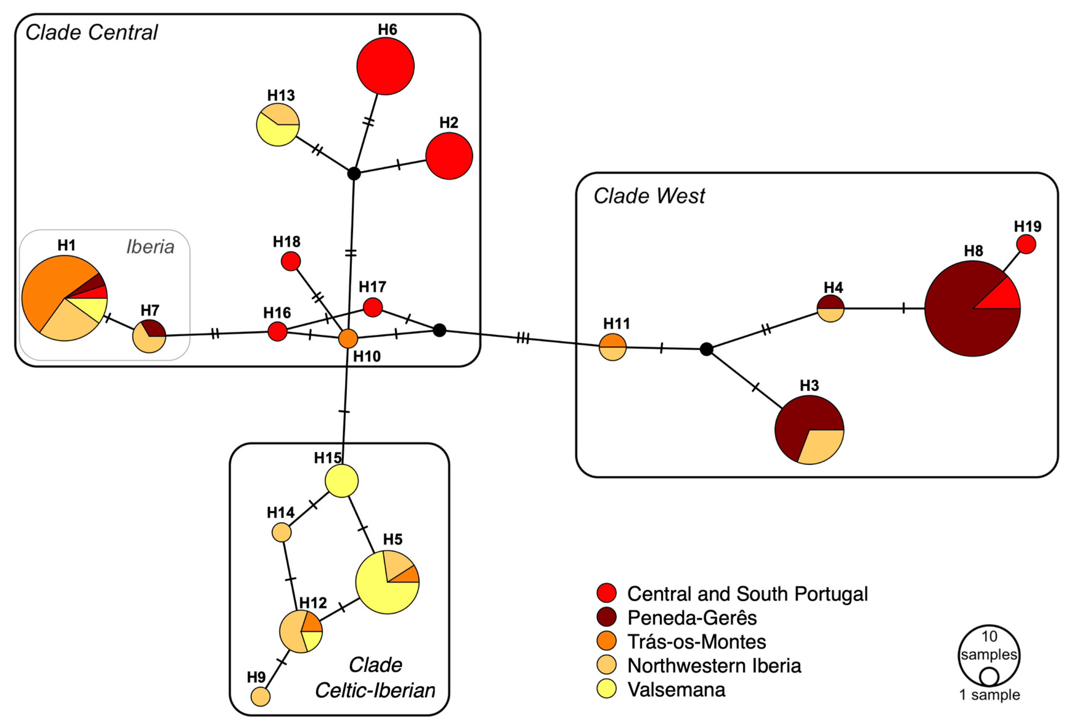 Animals 10 02419 g003 Animals 10 02419 g003