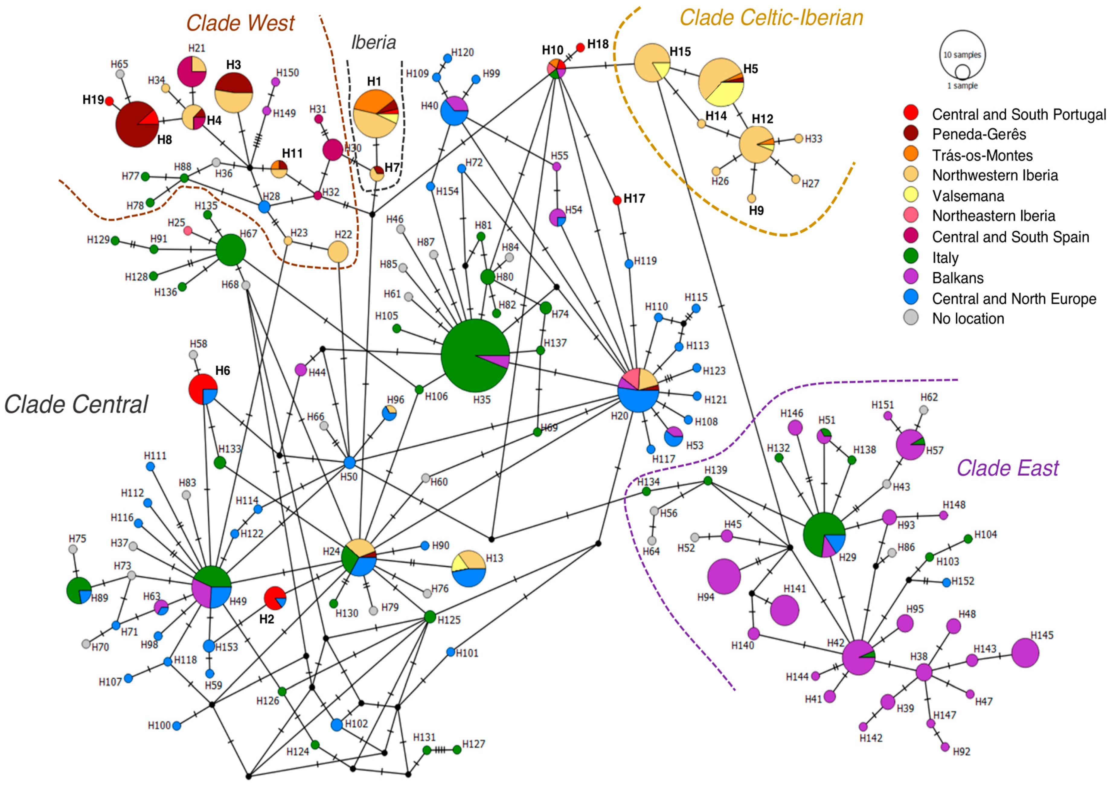 Animals 10 02419 g004 Animals 10 02419 g004