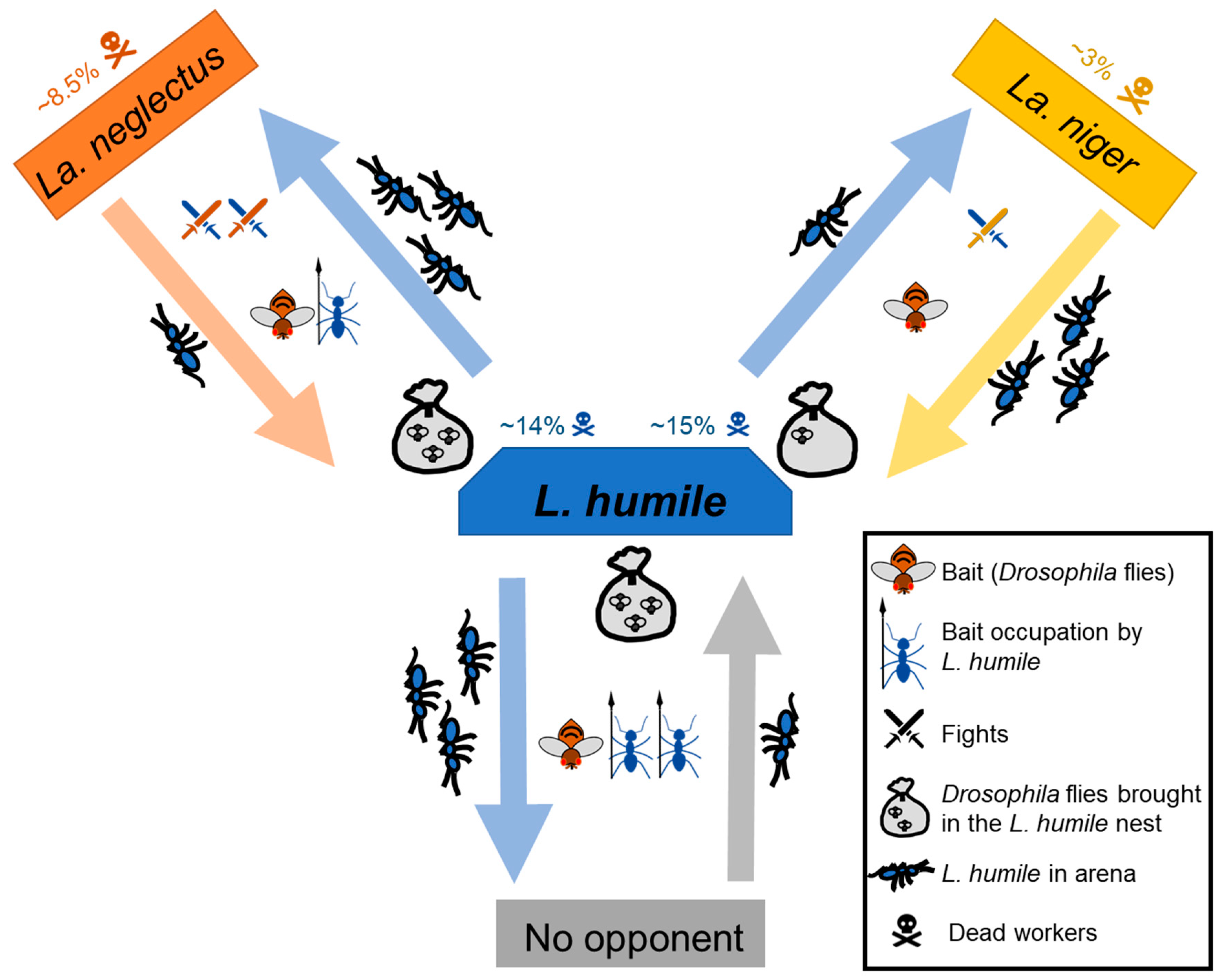 Animals 10 02451 g004 Animals 10 02451 g004