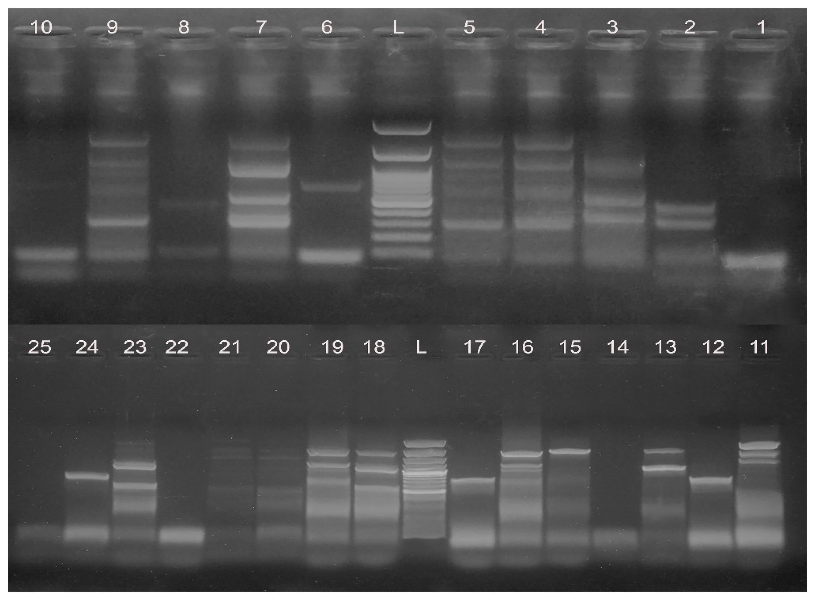 Animals 11 00003 g001 Animals 11 00003 g001