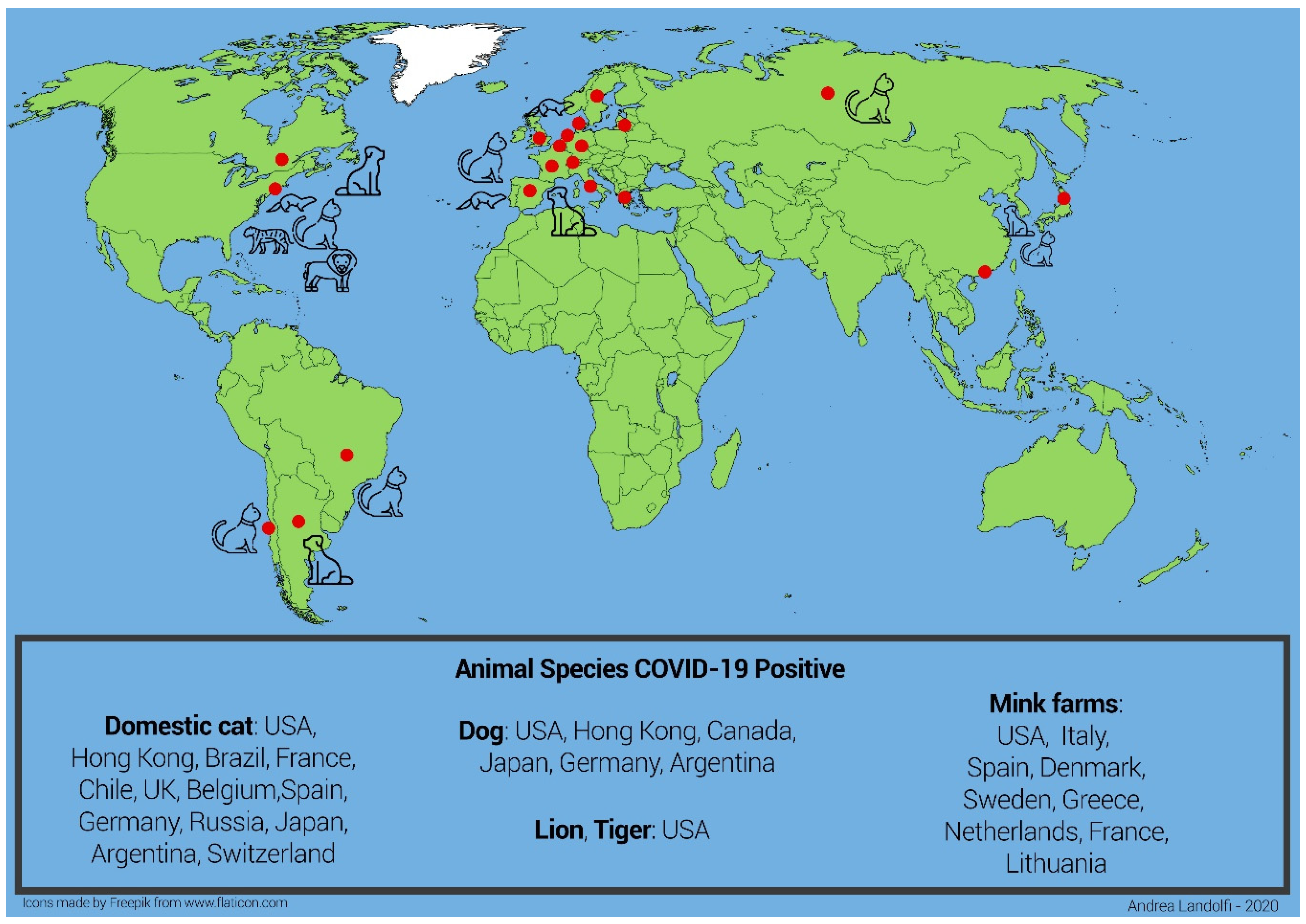 Animals | Free Full-Text | Do Animals Play a Role in the Transmission of Severe Acute Respiratory Syndrome Coronavirus-2 (SARS-CoV-2)? A Commentary Animals | Free Full-Text | Do Animals Play a Role in the Transmission of Severe Acute Respiratory Syndrome Coronavirus-2 (SARS-CoV-2)? A Commentary