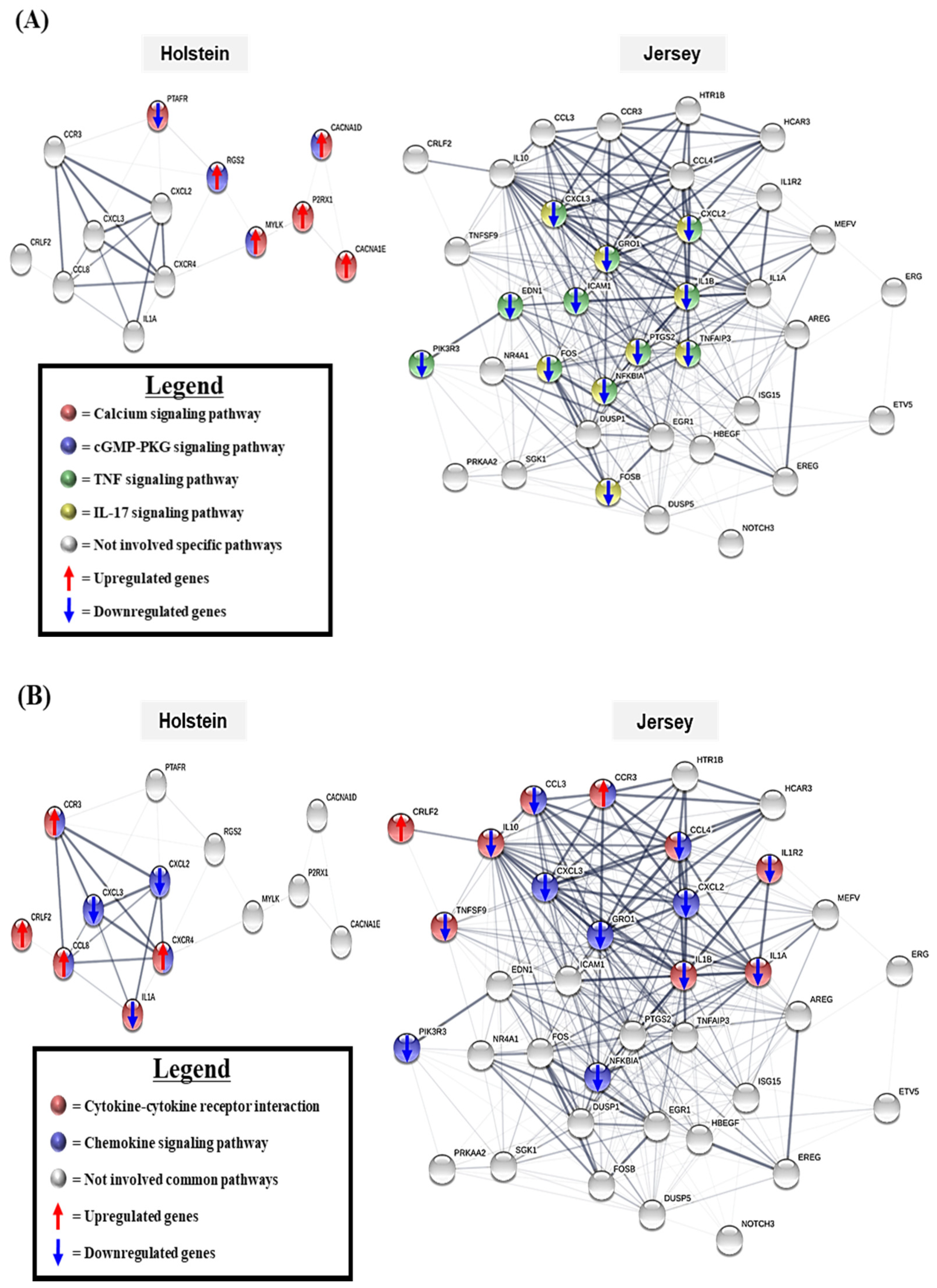 Animals 11 00019 g005 Animals 11 00019 g005