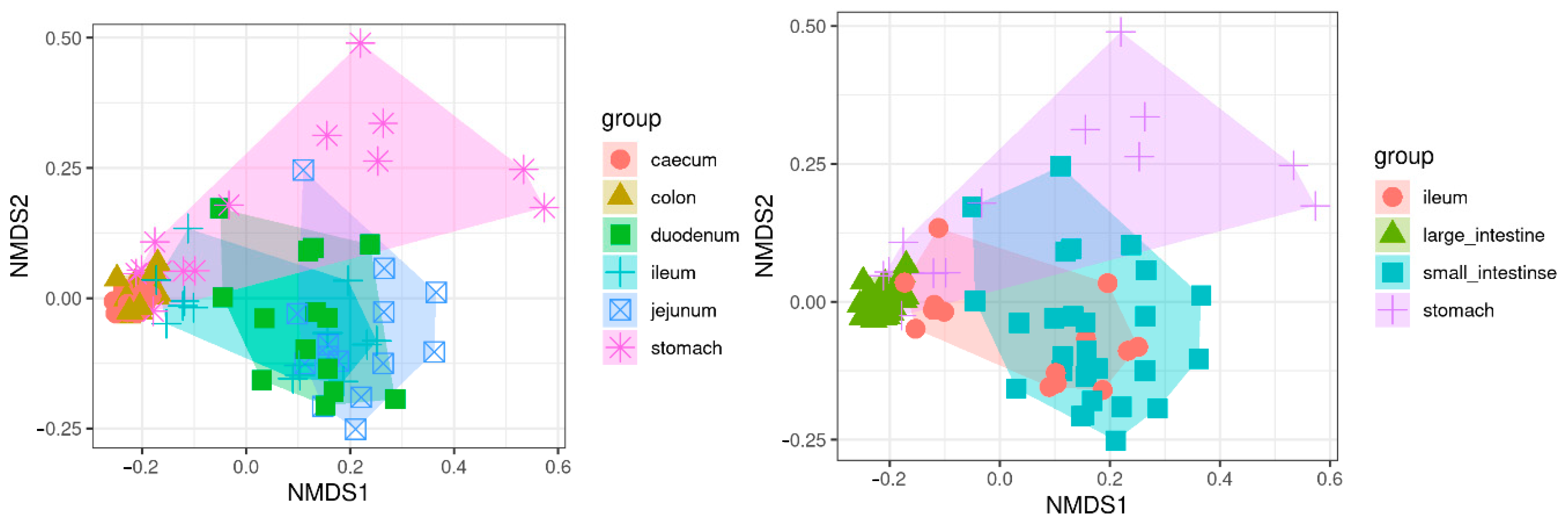Animals 11 00031 g005