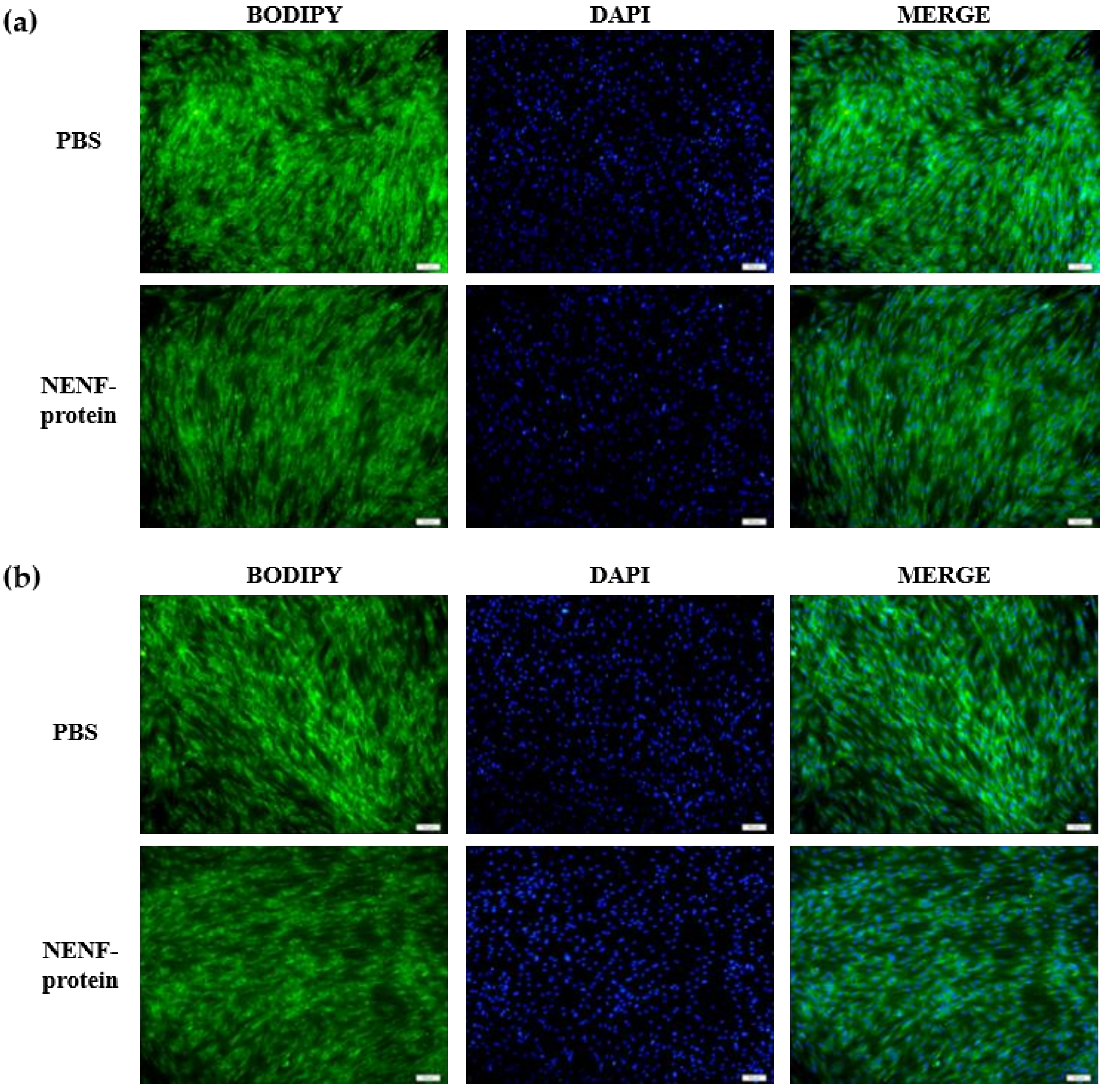 Animals 11 00034 g003