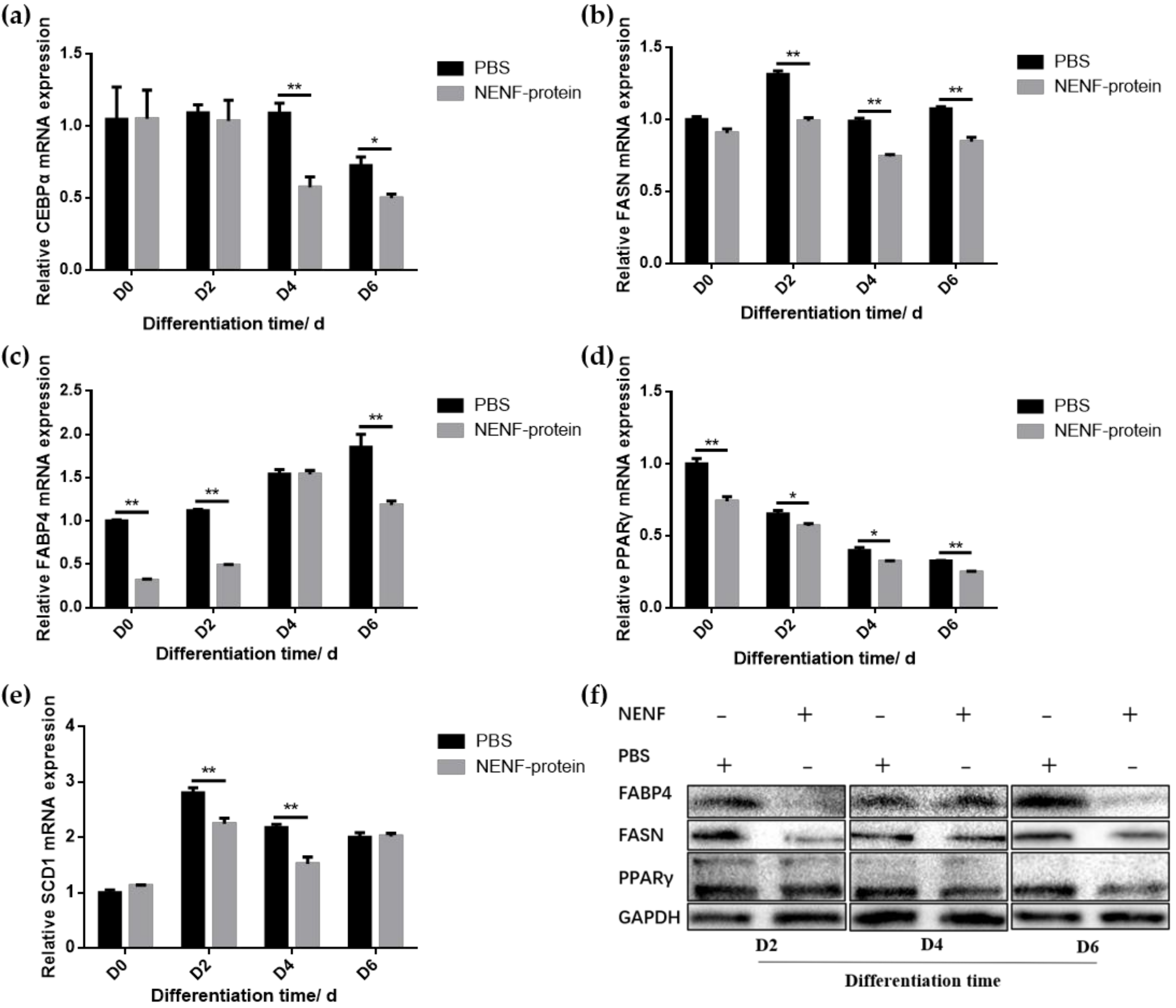 Animals 11 00034 g004