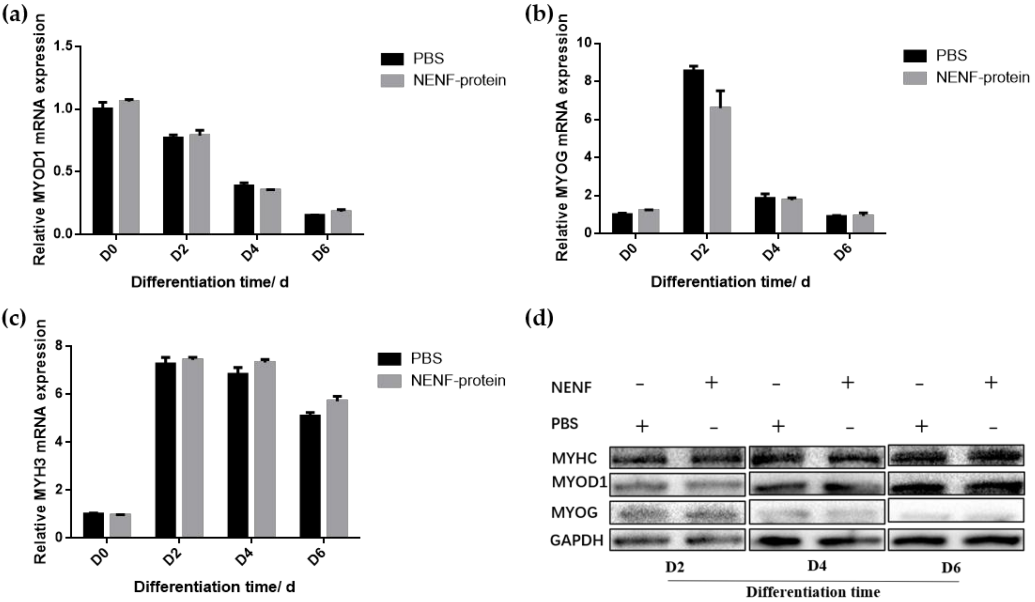Animals 11 00034 g006
