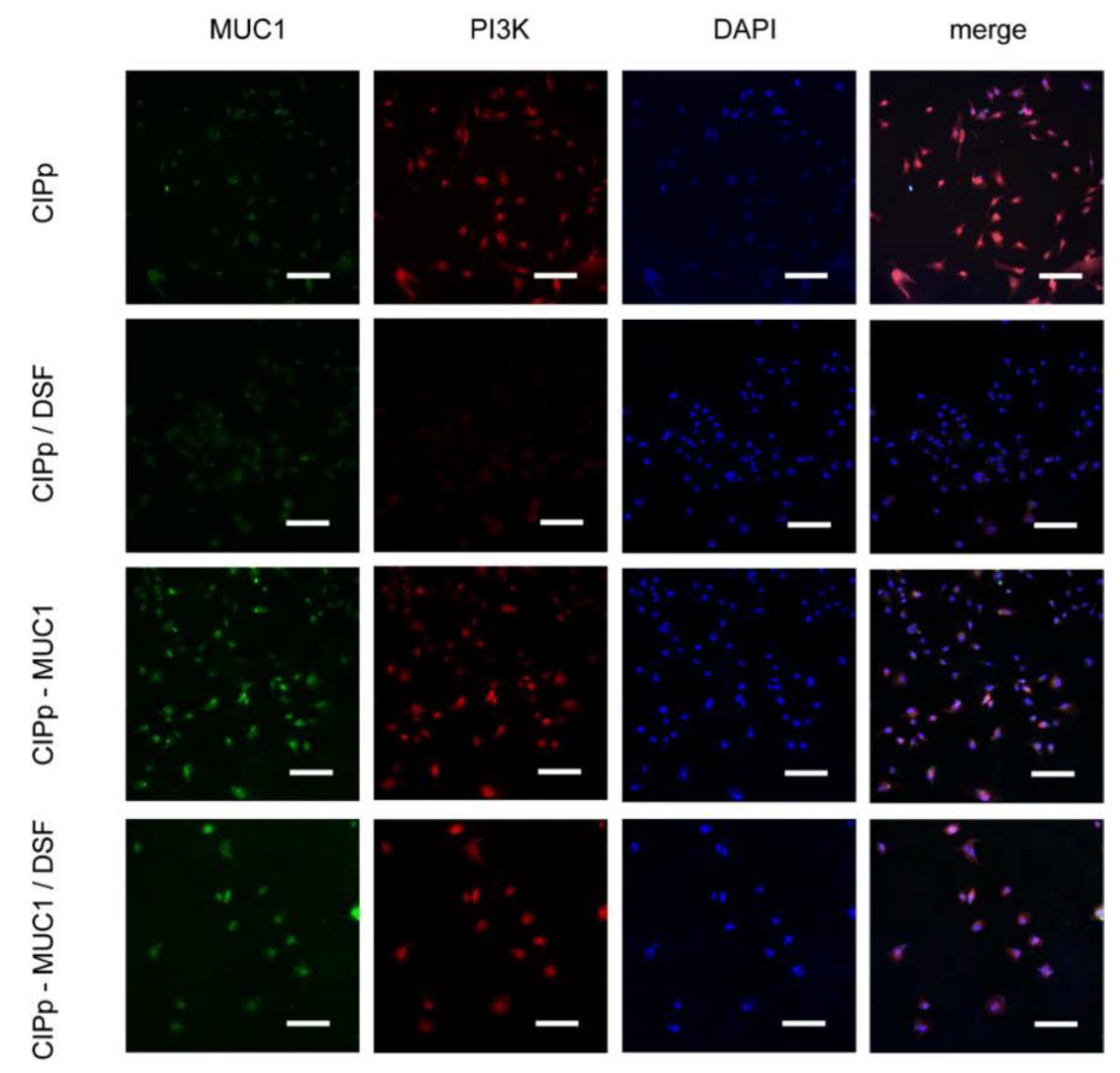 Animals 11 00037 g002 Animals 11 00037 g002