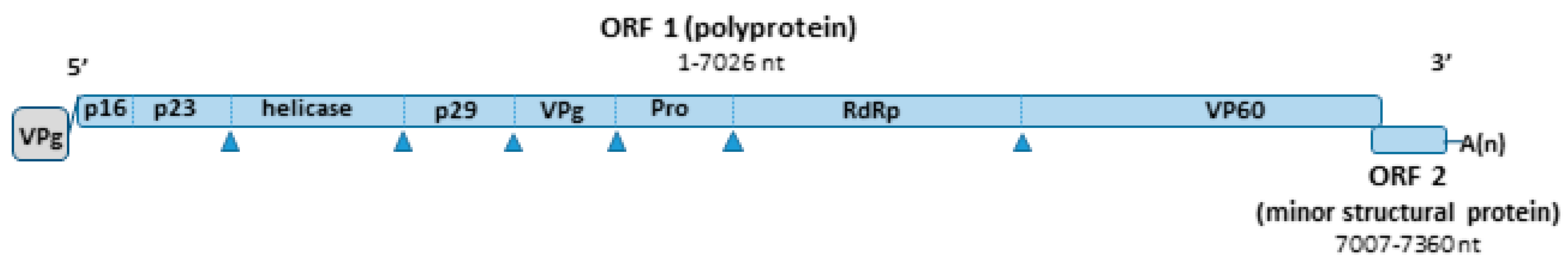 Animals 11 00040 g001