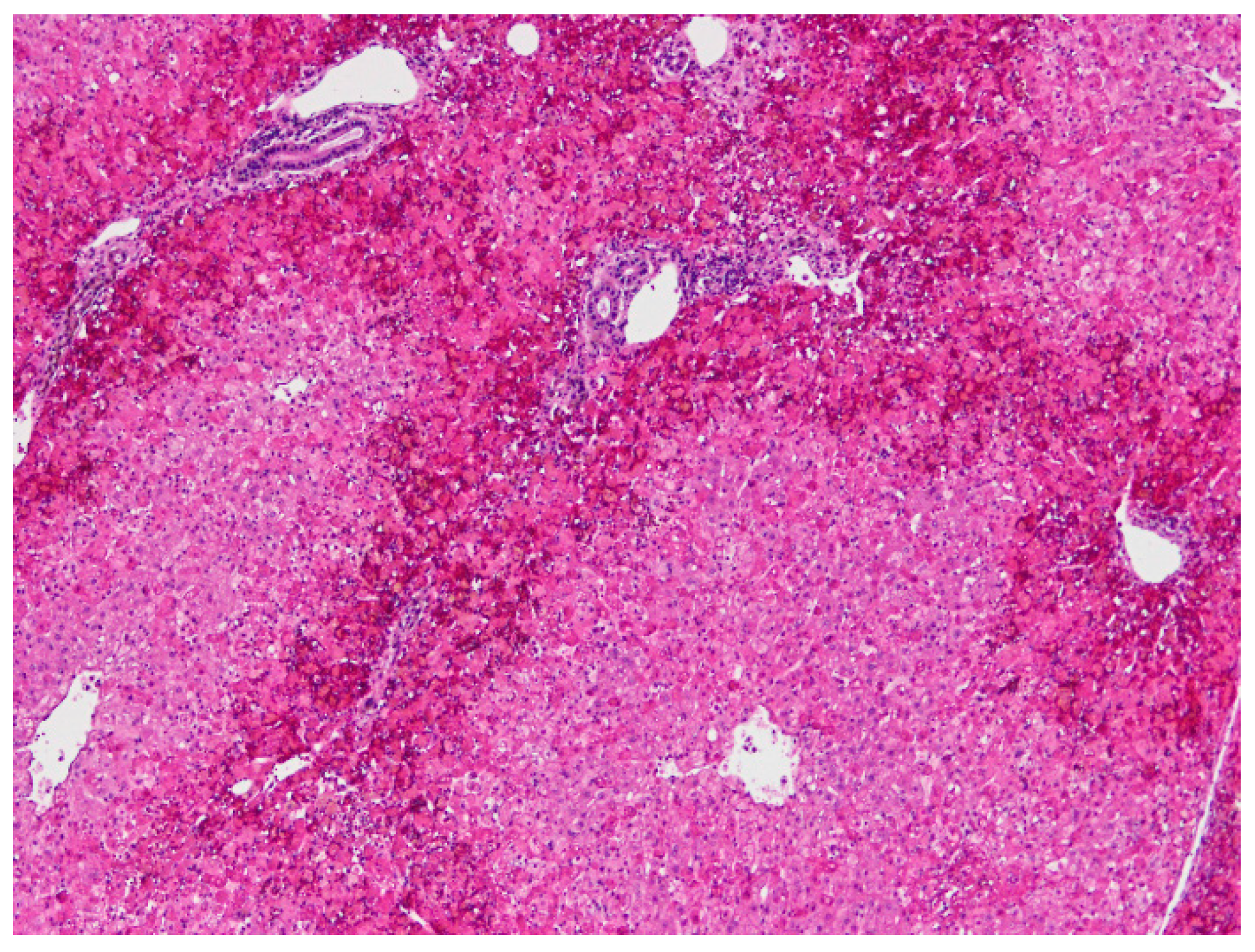 Animals 11 00040 g003