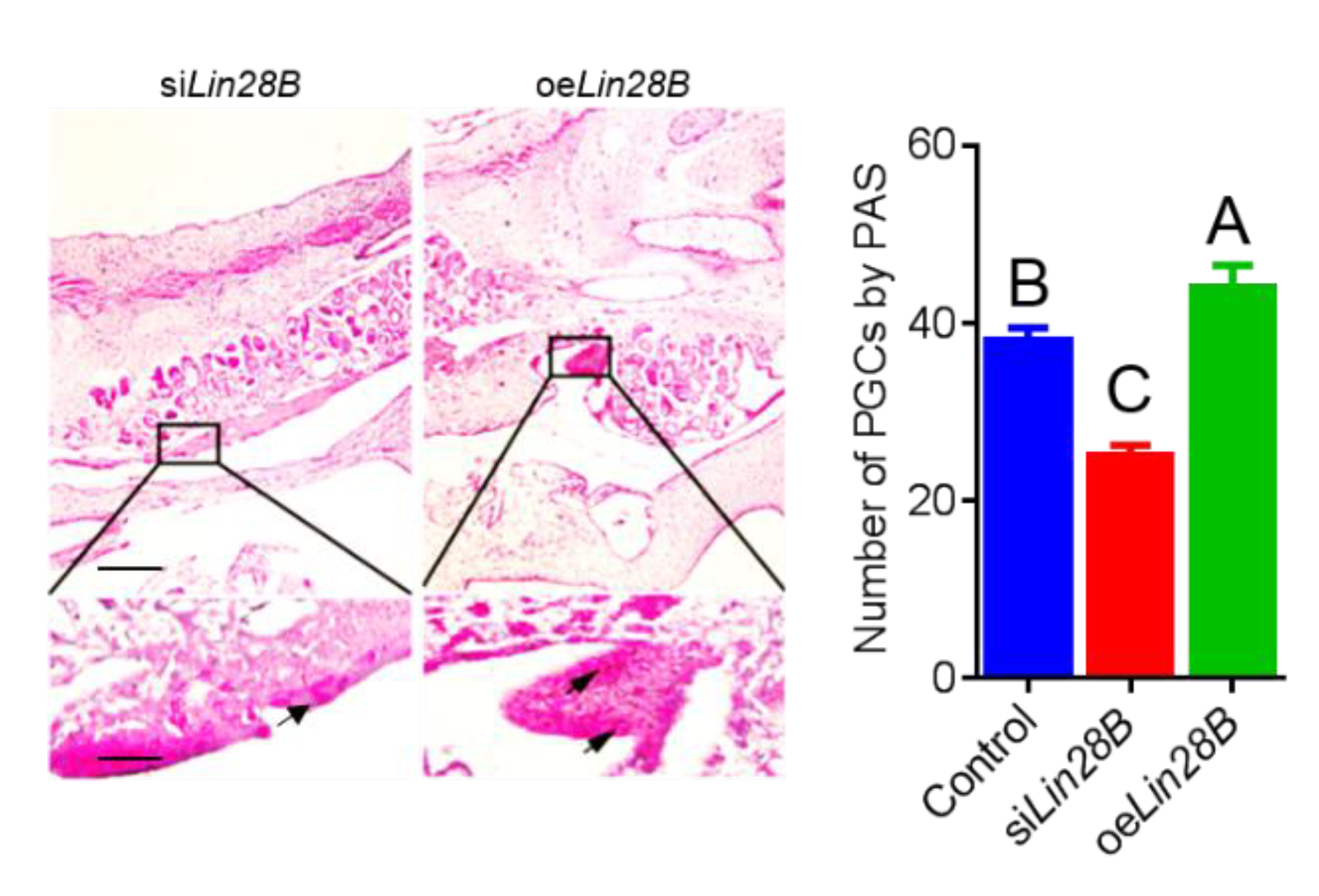 Animals 11 00043 g004