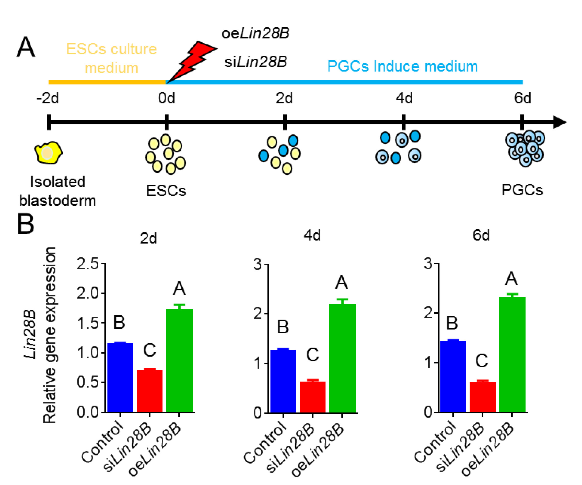 Animals 11 00043 g005