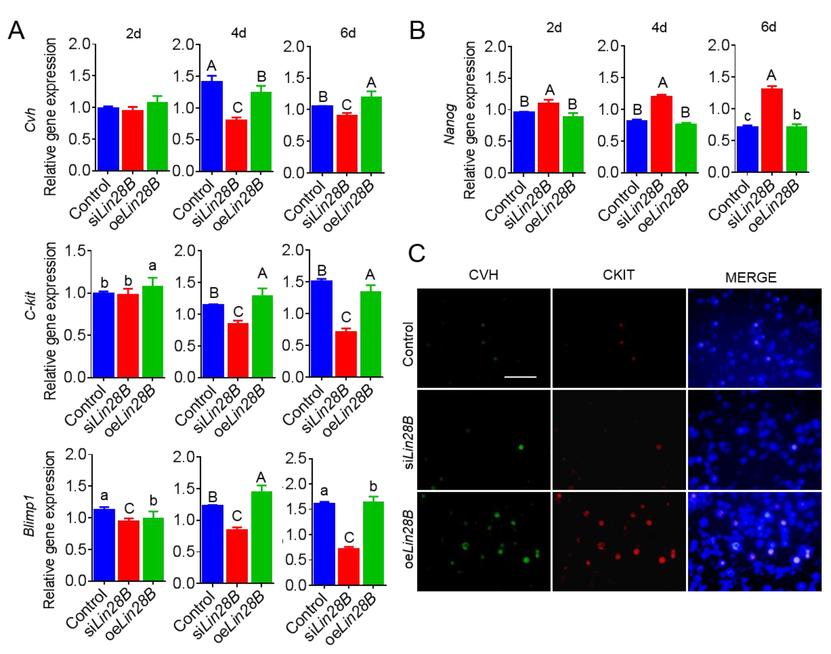 Animals 11 00043 g007