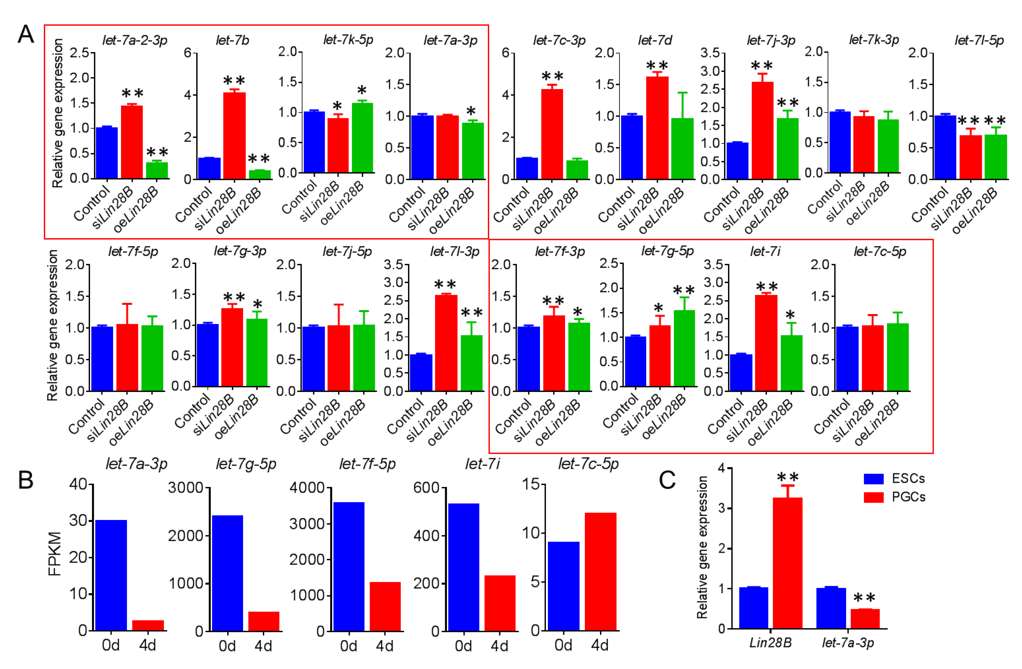 Animals 11 00043 g008