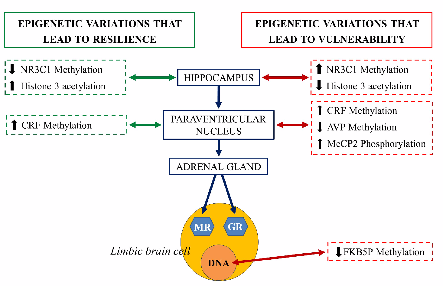 Animals 11 00047 g008 Animals 11 00047 g008