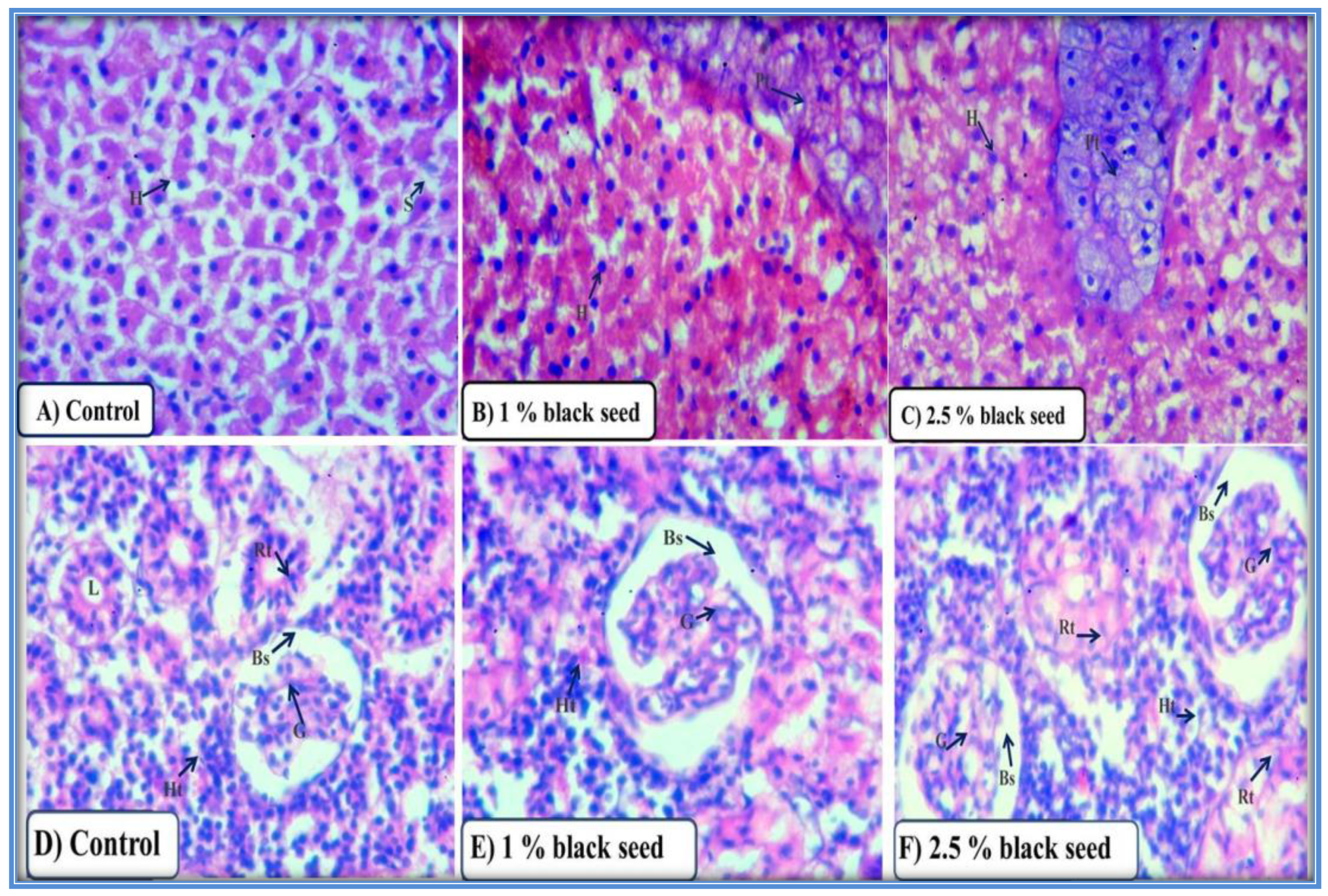 Animals 11 00048 g006 Animals 11 00048 g006