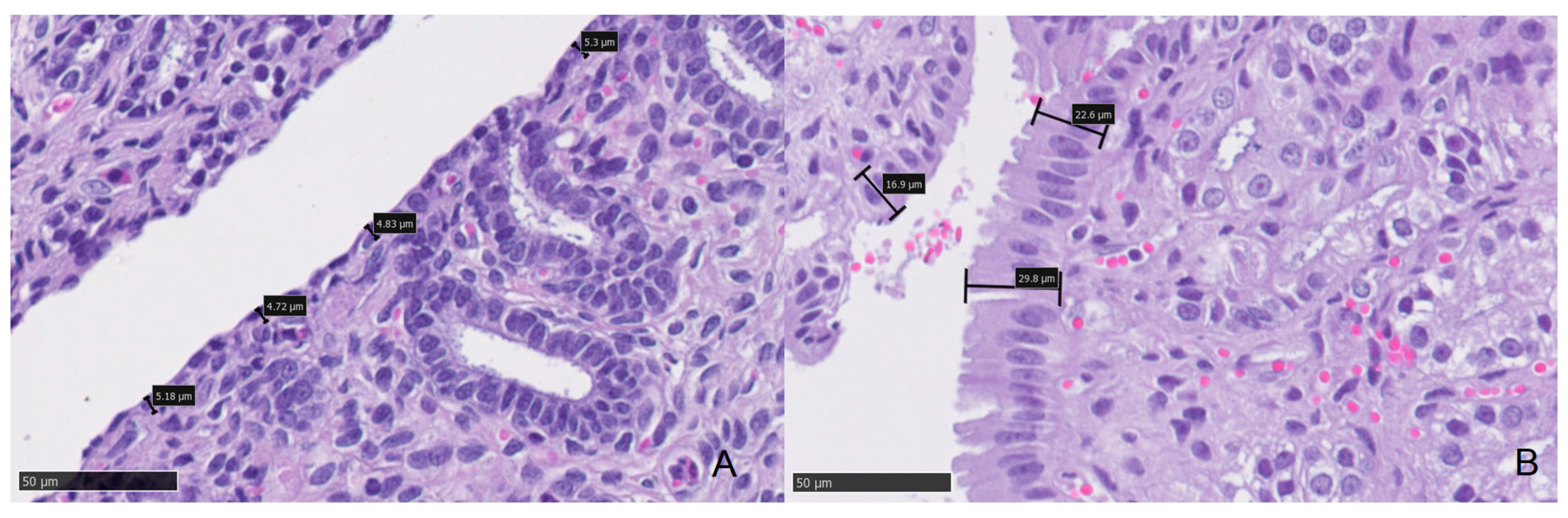 Animals 11 00088 g001