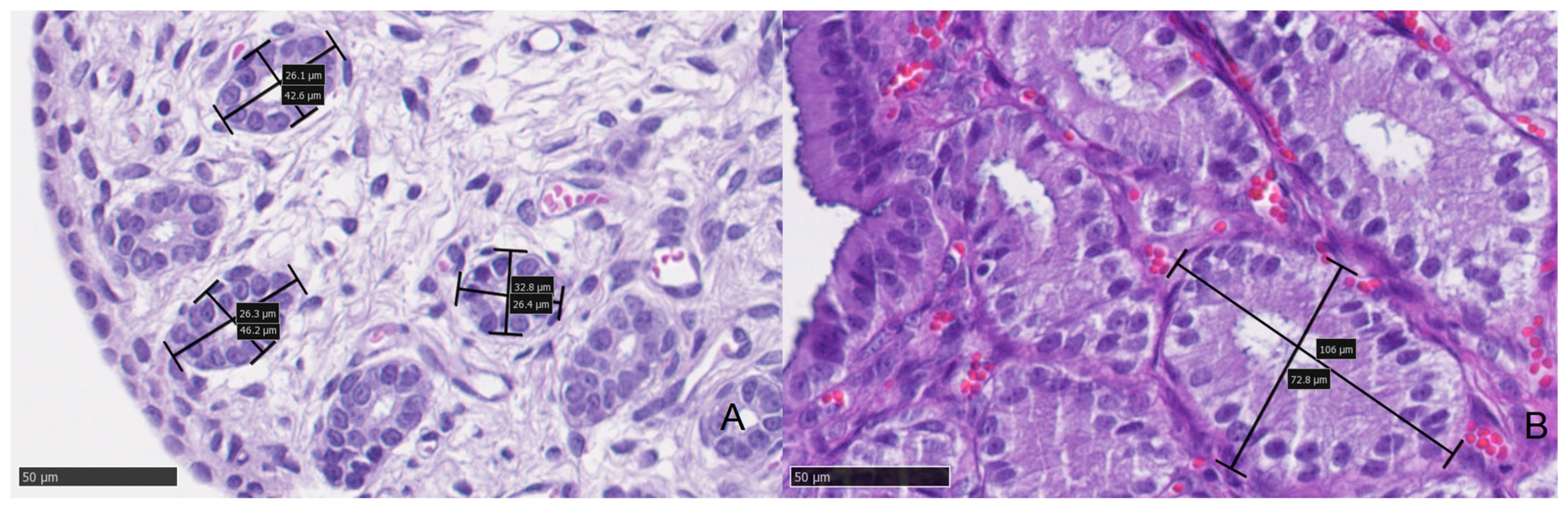 Animals 11 00088 g003