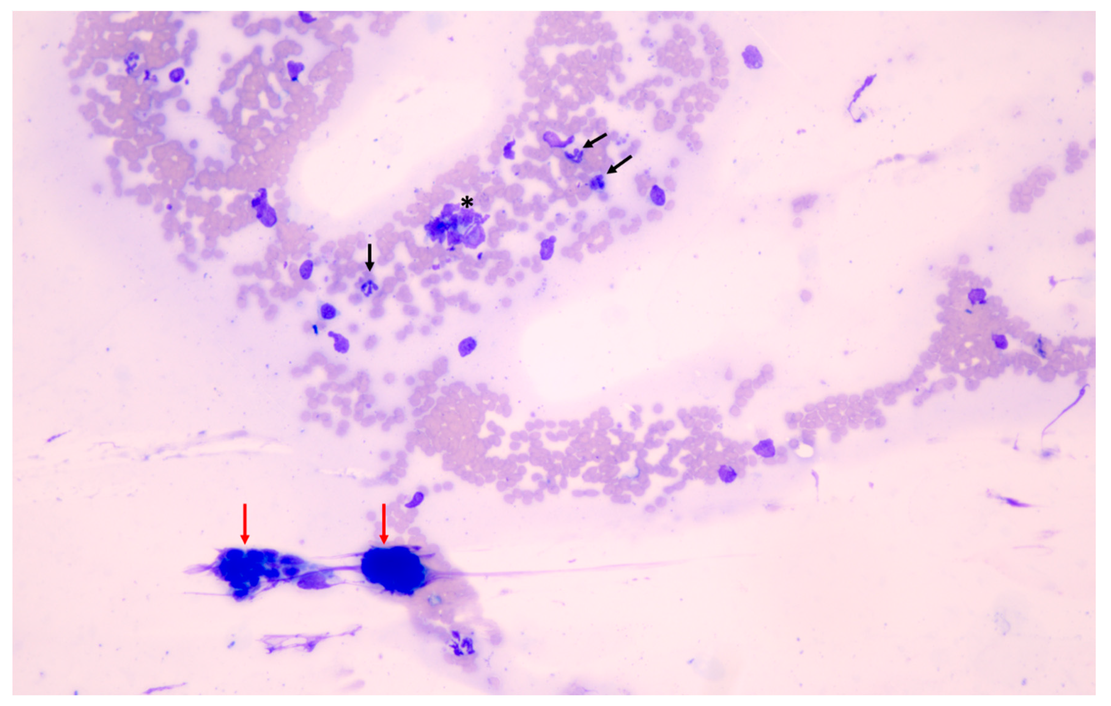 Animals 11 00088 g006