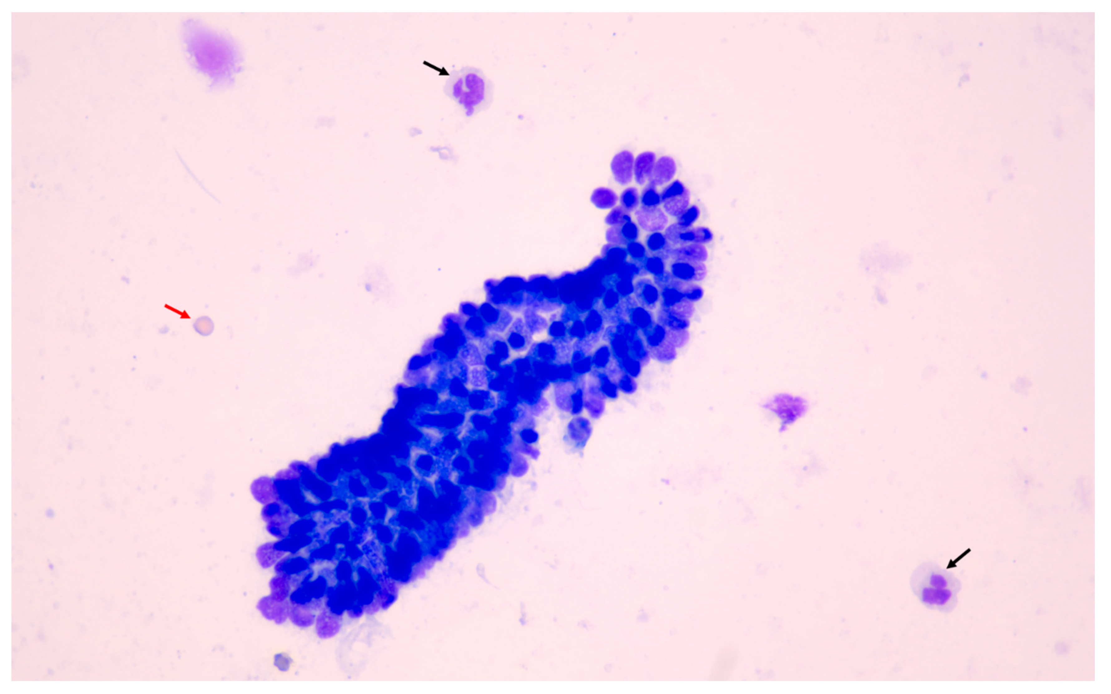 Animals 11 00088 g007